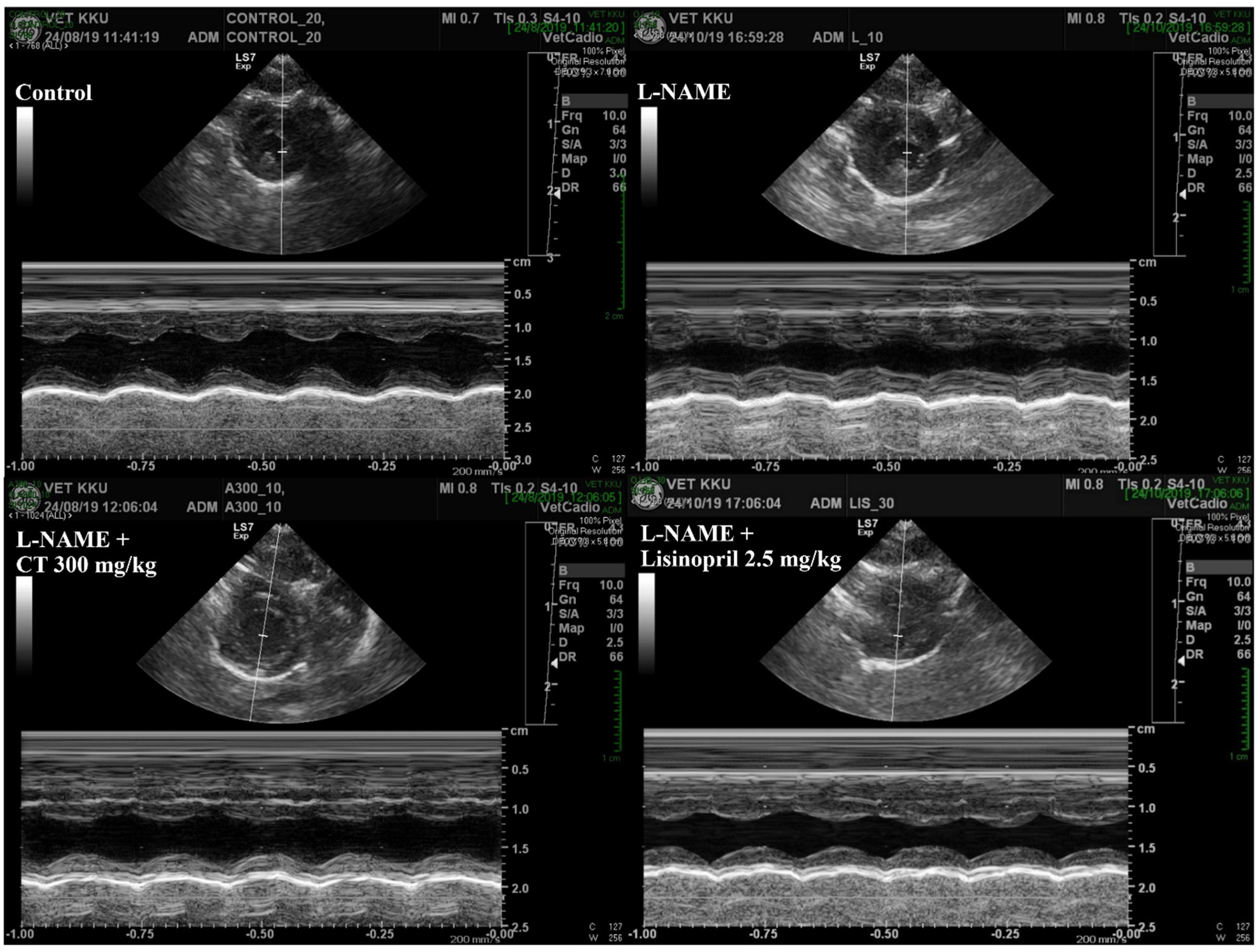 Antioxidants 10 00523 g004 Antioxidants 10 00523 g004