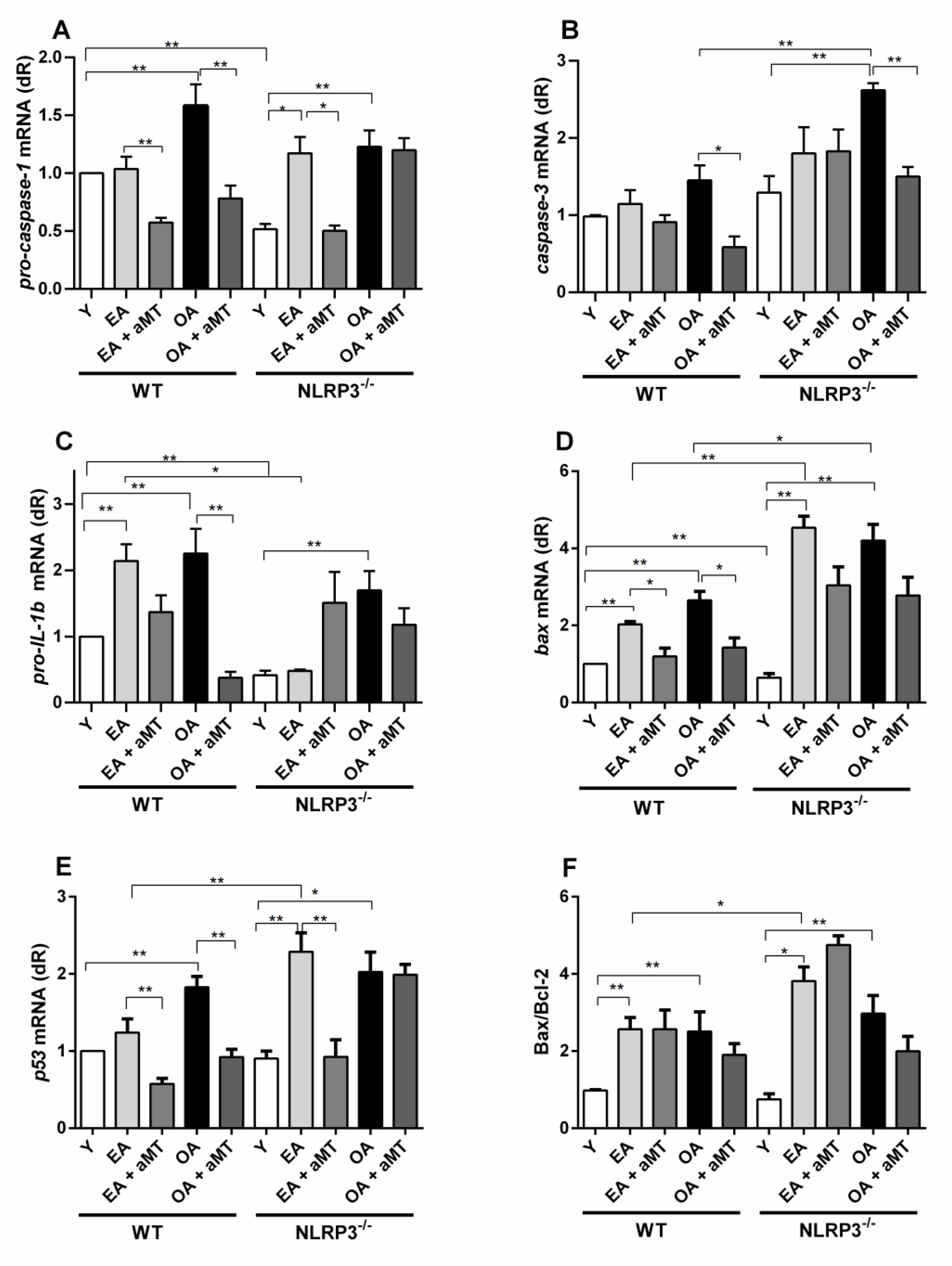 Antioxidants 10 00524 g002