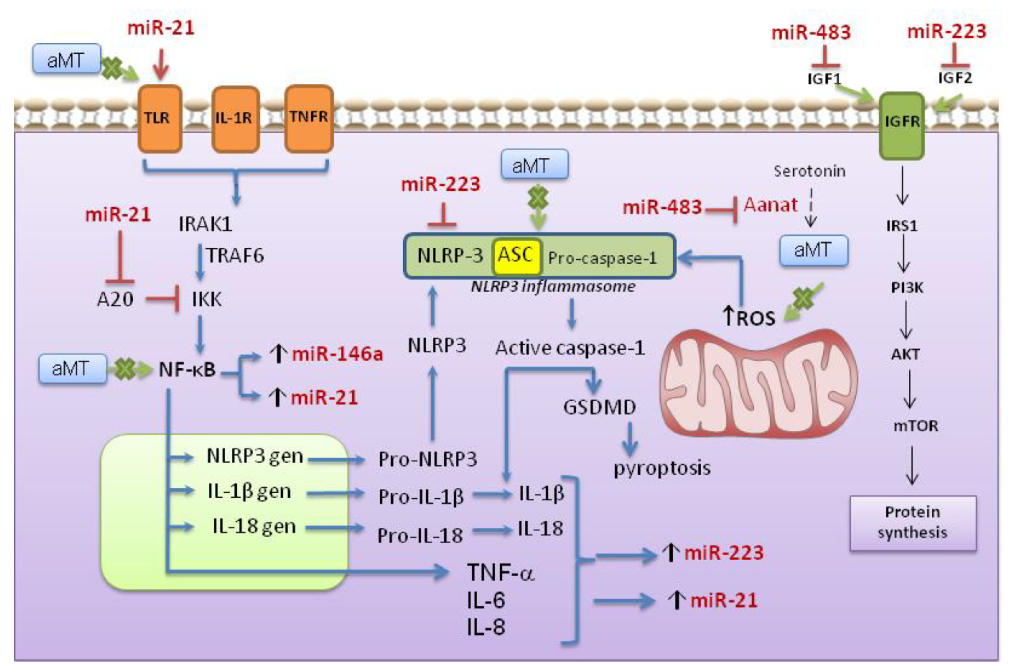Antioxidants 10 00524 g008