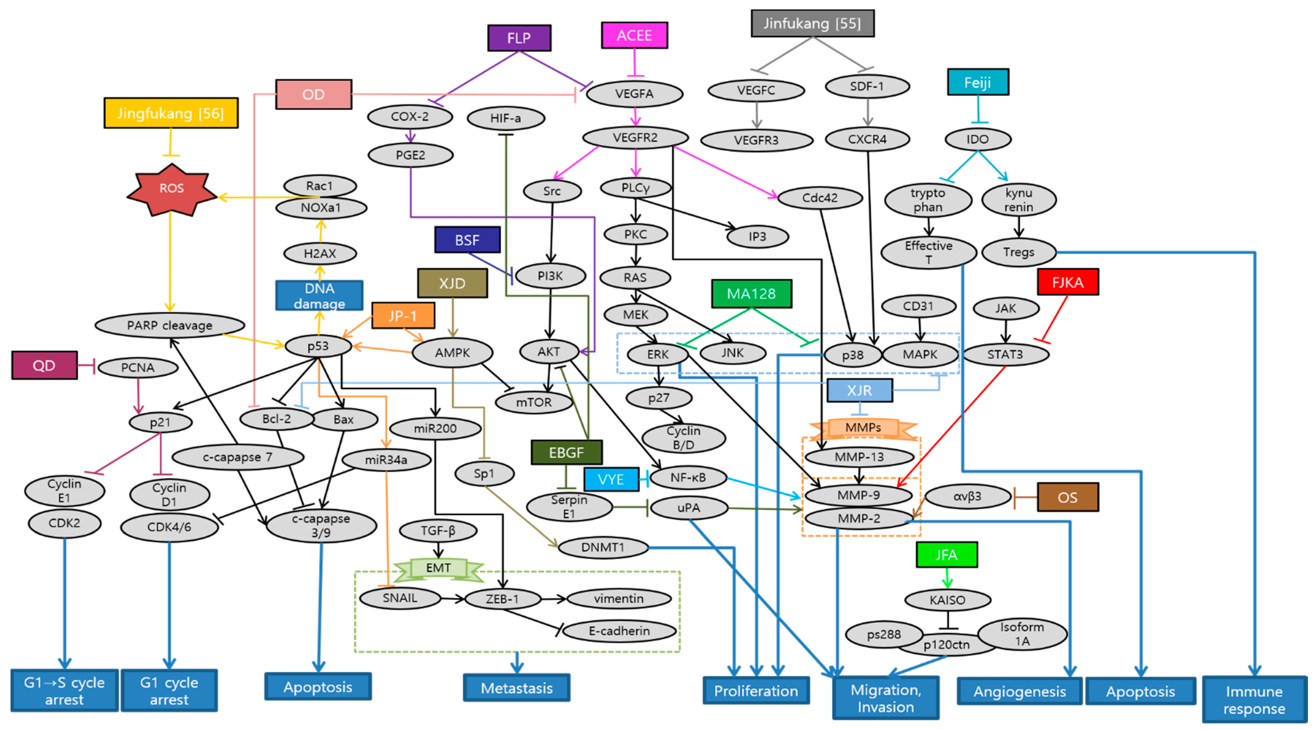 Antioxidants 10 00527 g001 Antioxidants 10 00527 g001