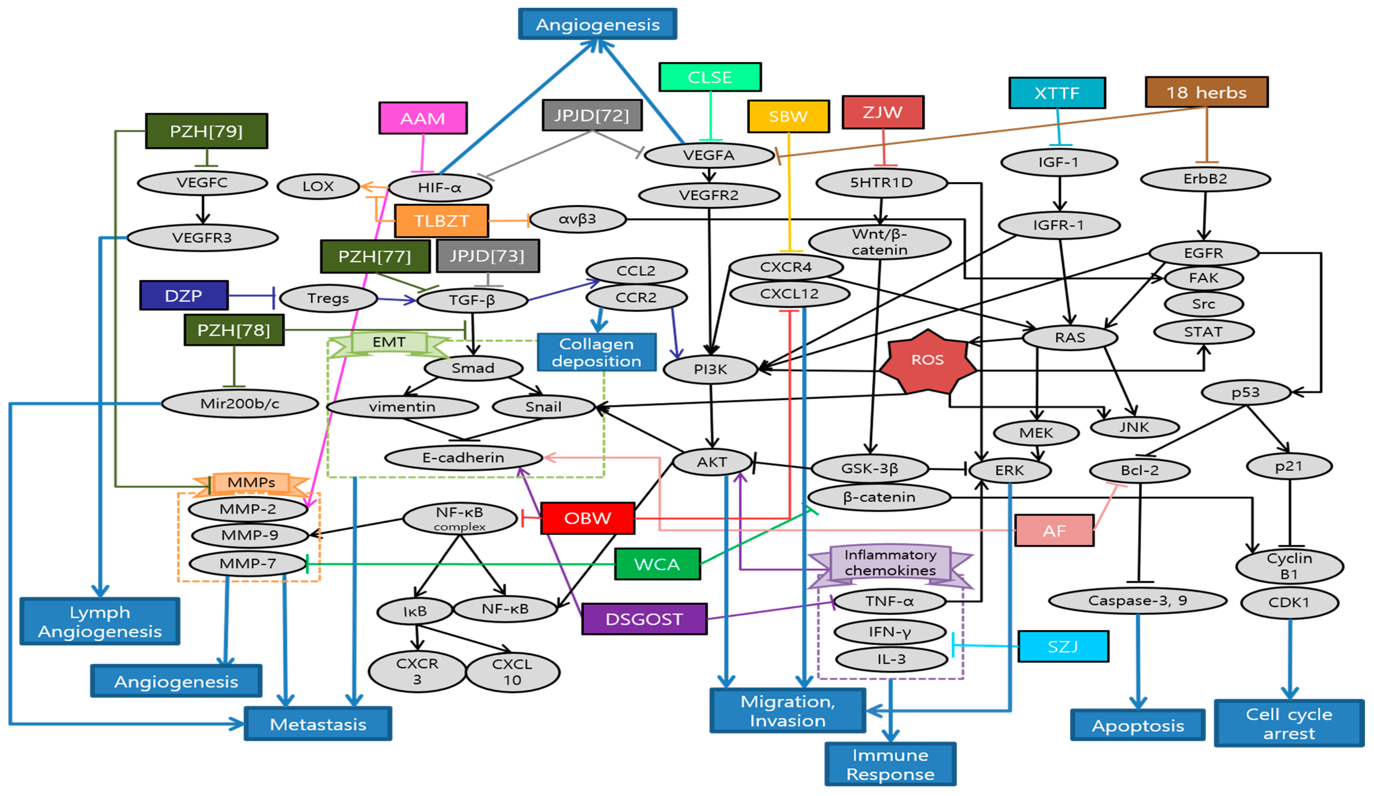Antioxidants 10 00527 g002 Antioxidants 10 00527 g002