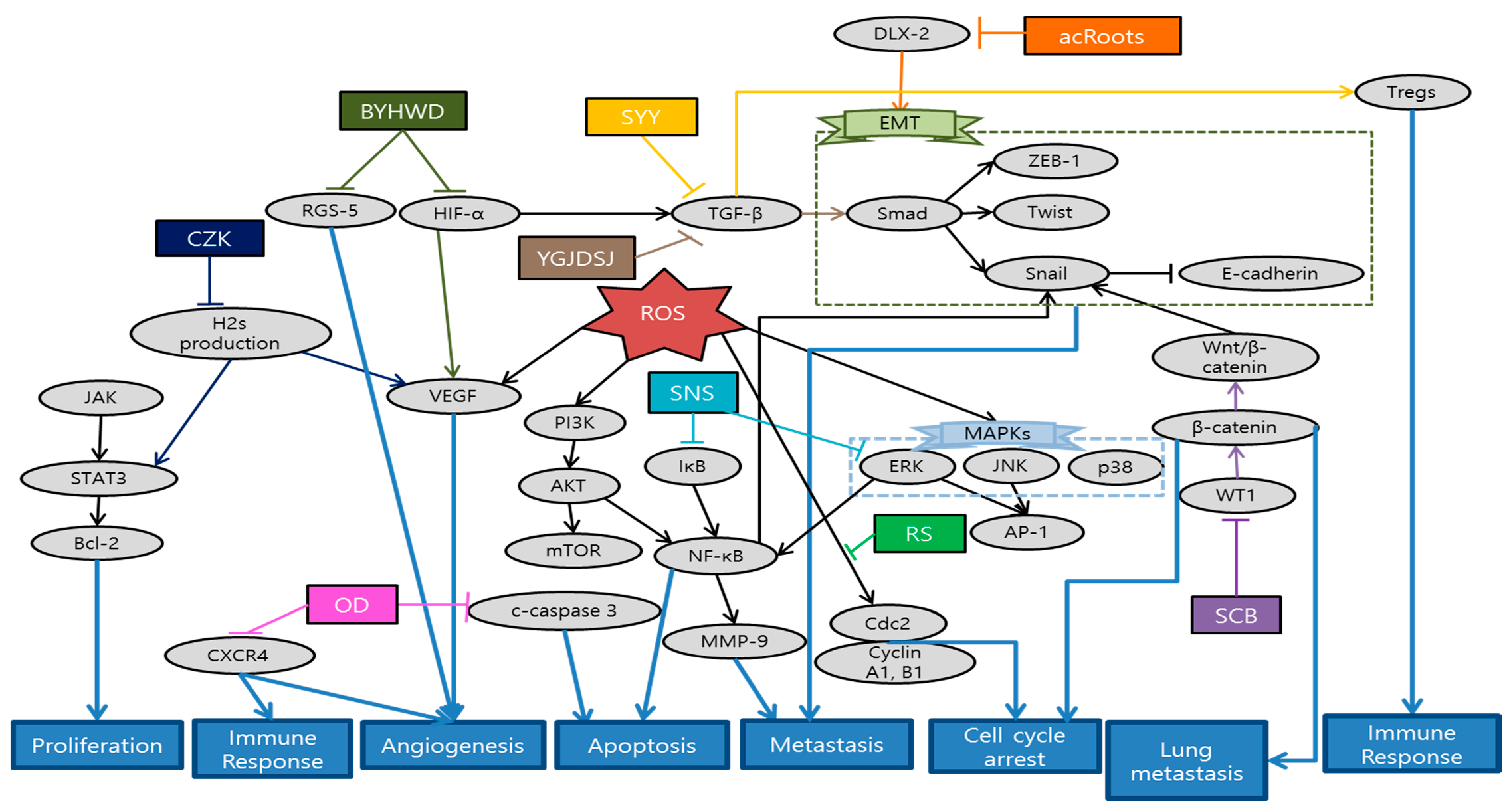 Antioxidants 10 00527 g004 Antioxidants 10 00527 g004