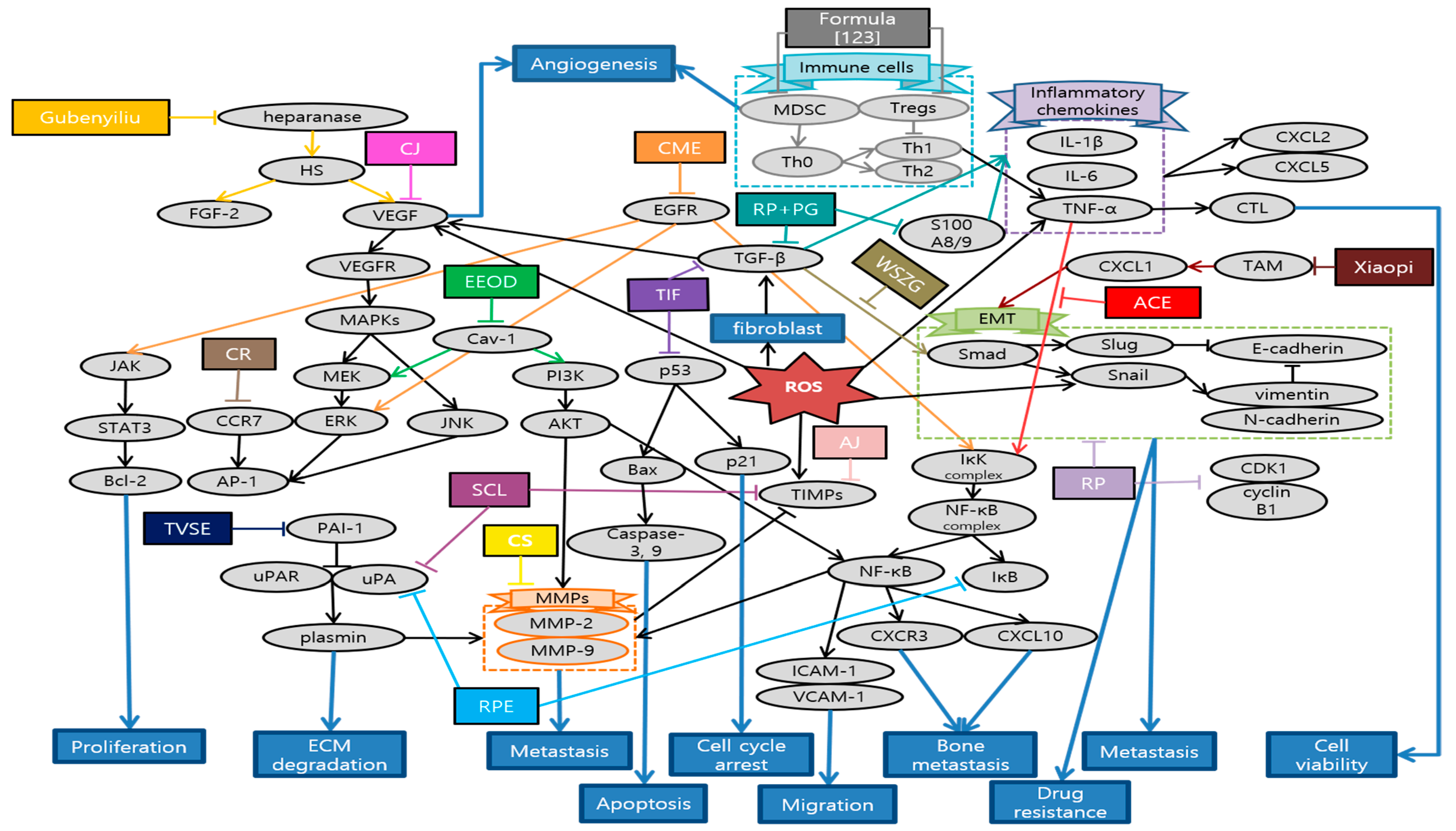 Antioxidants 10 00527 g005 Antioxidants 10 00527 g005