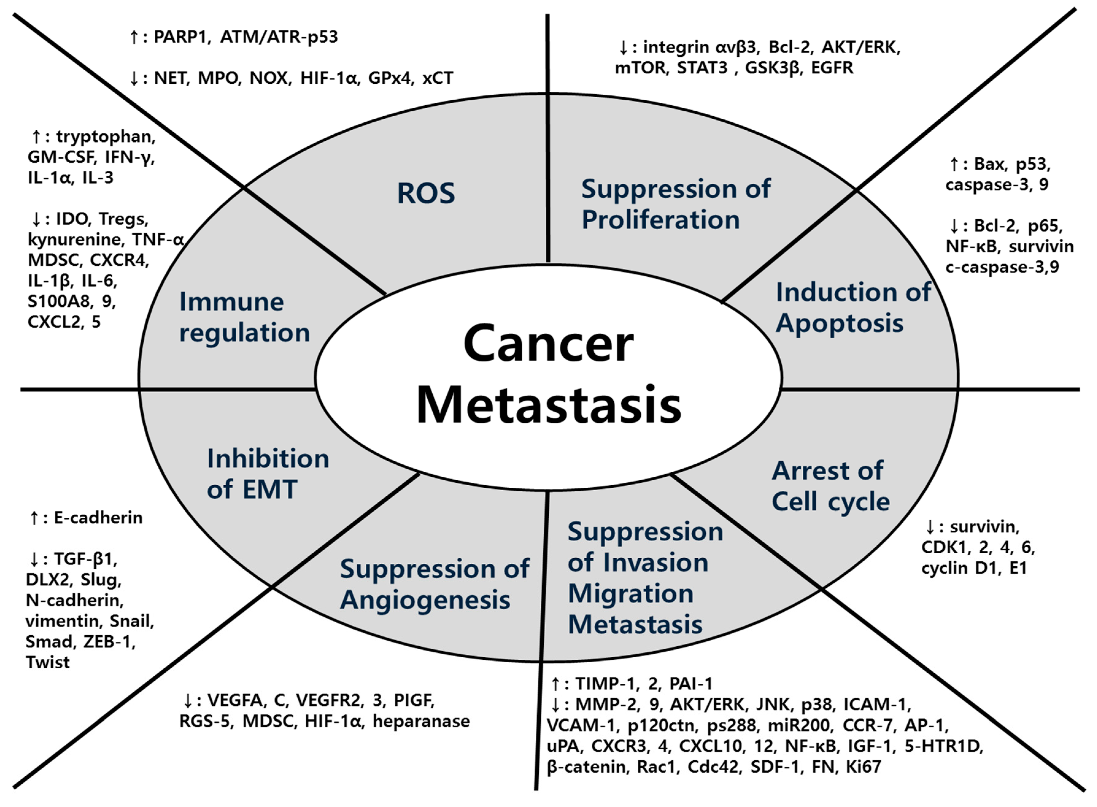 Antioxidants 10 00527 g007 Antioxidants 10 00527 g007