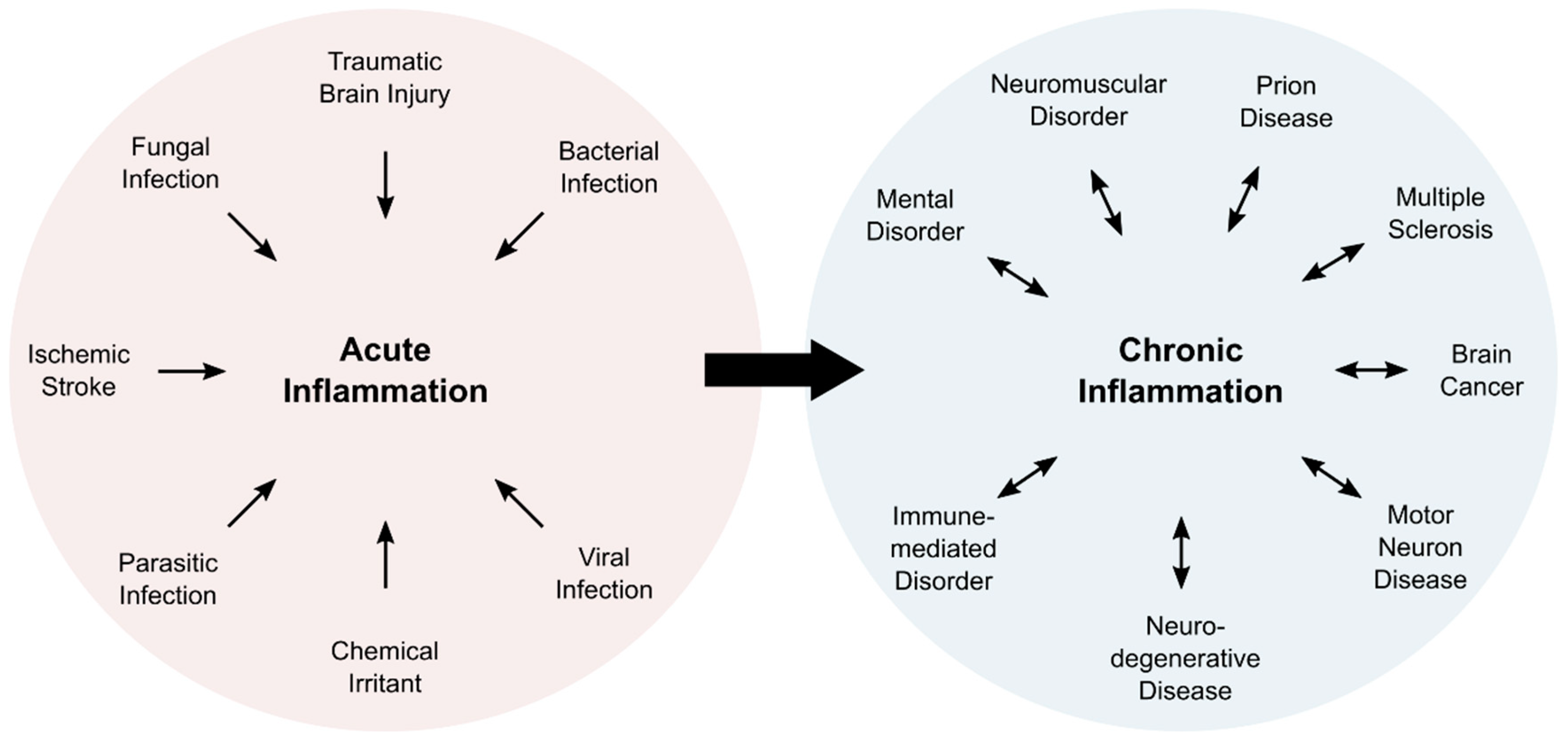 Antioxidants 10 00528 g001