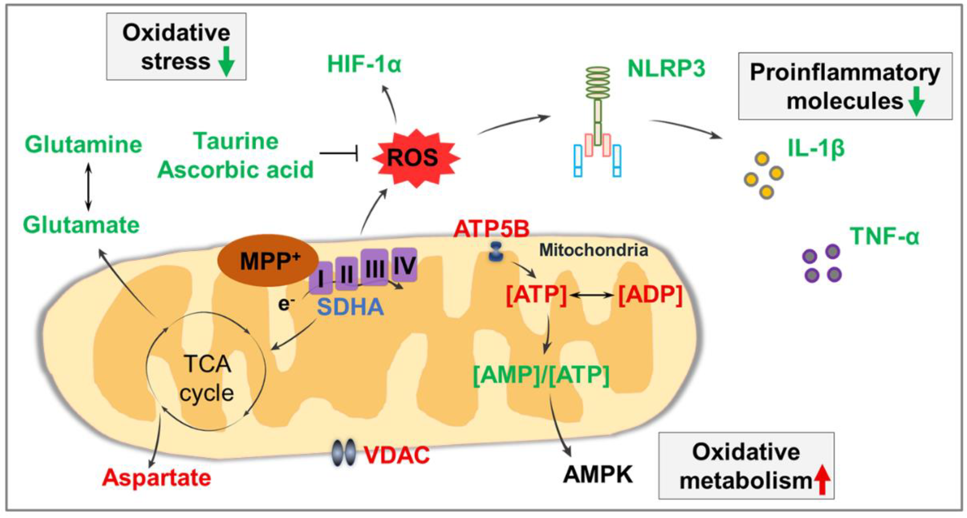 Antioxidants 10 00529 g005
