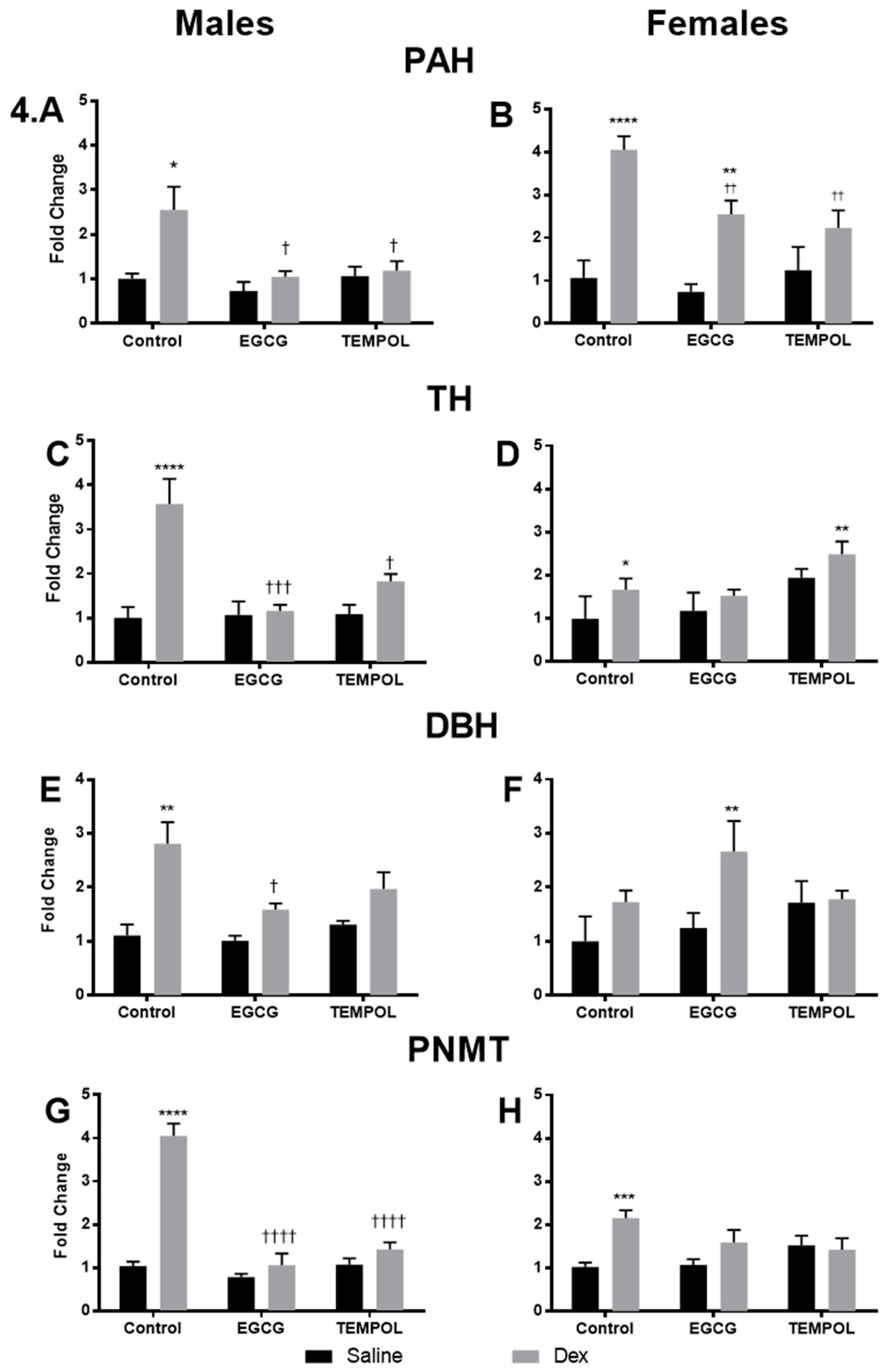 Antioxidants 10 00531 g004