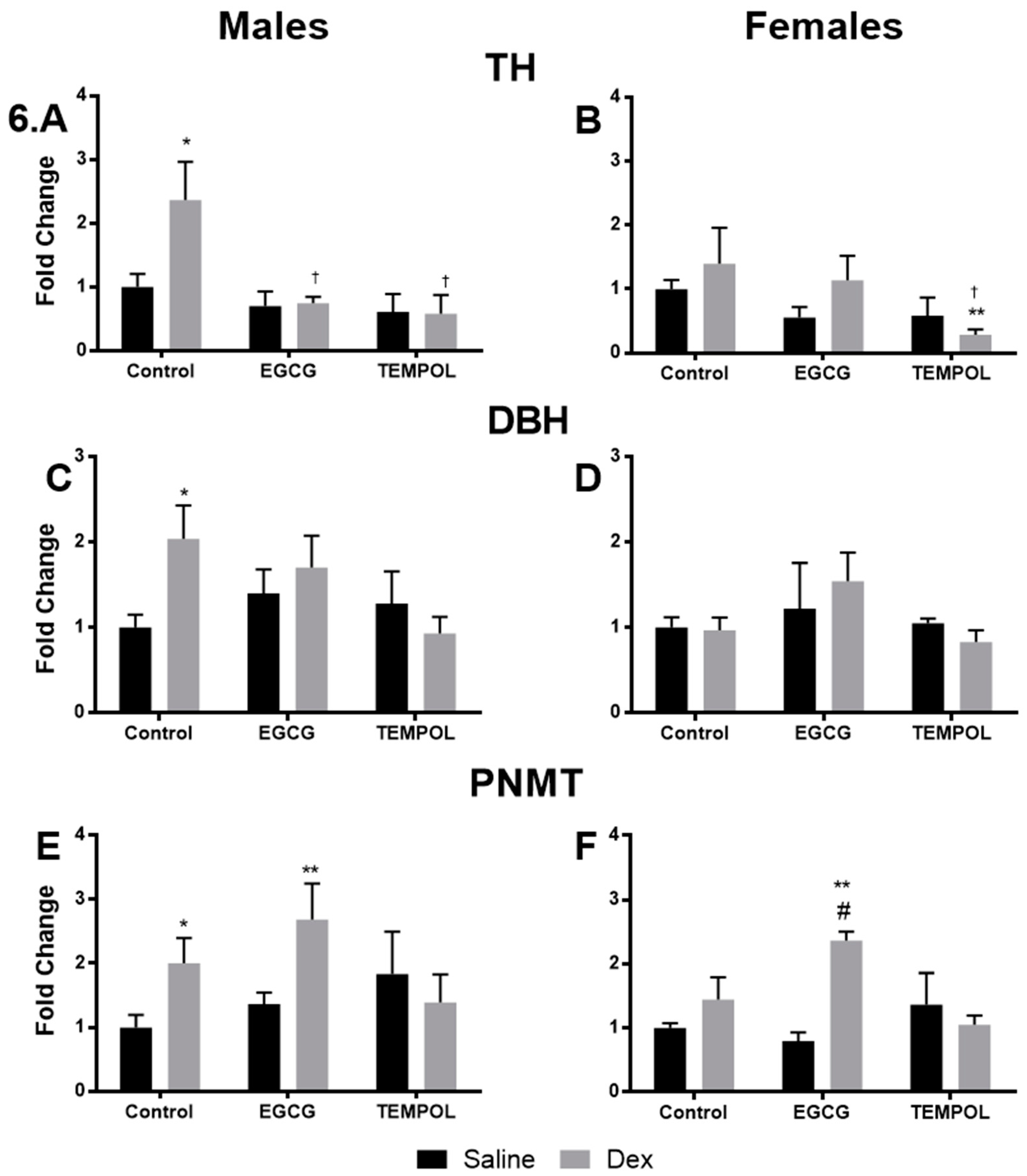 Antioxidants 10 00531 g006