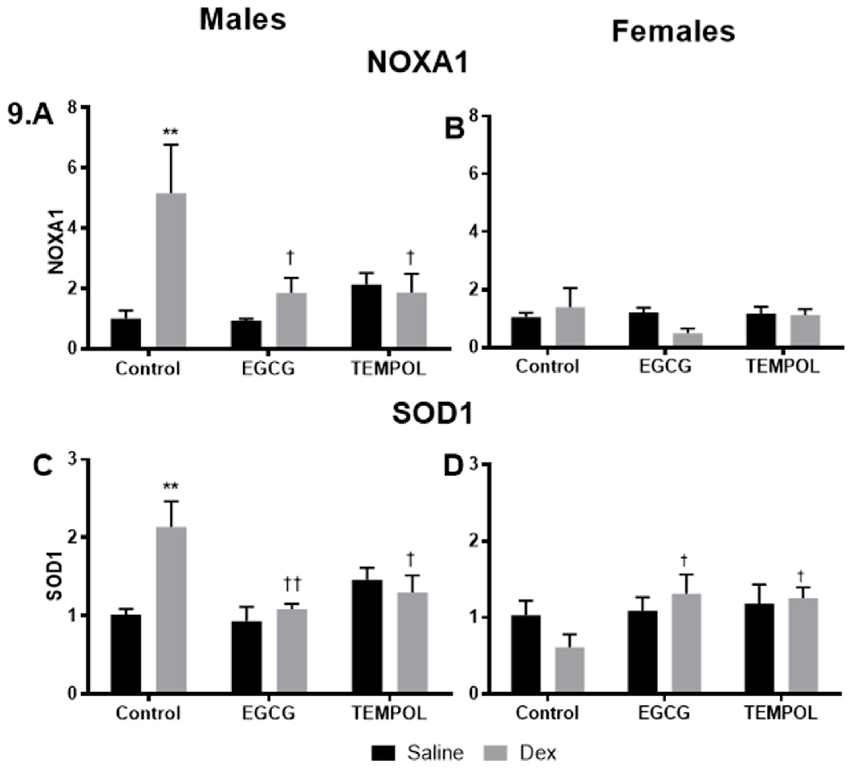 Antioxidants 10 00531 g009