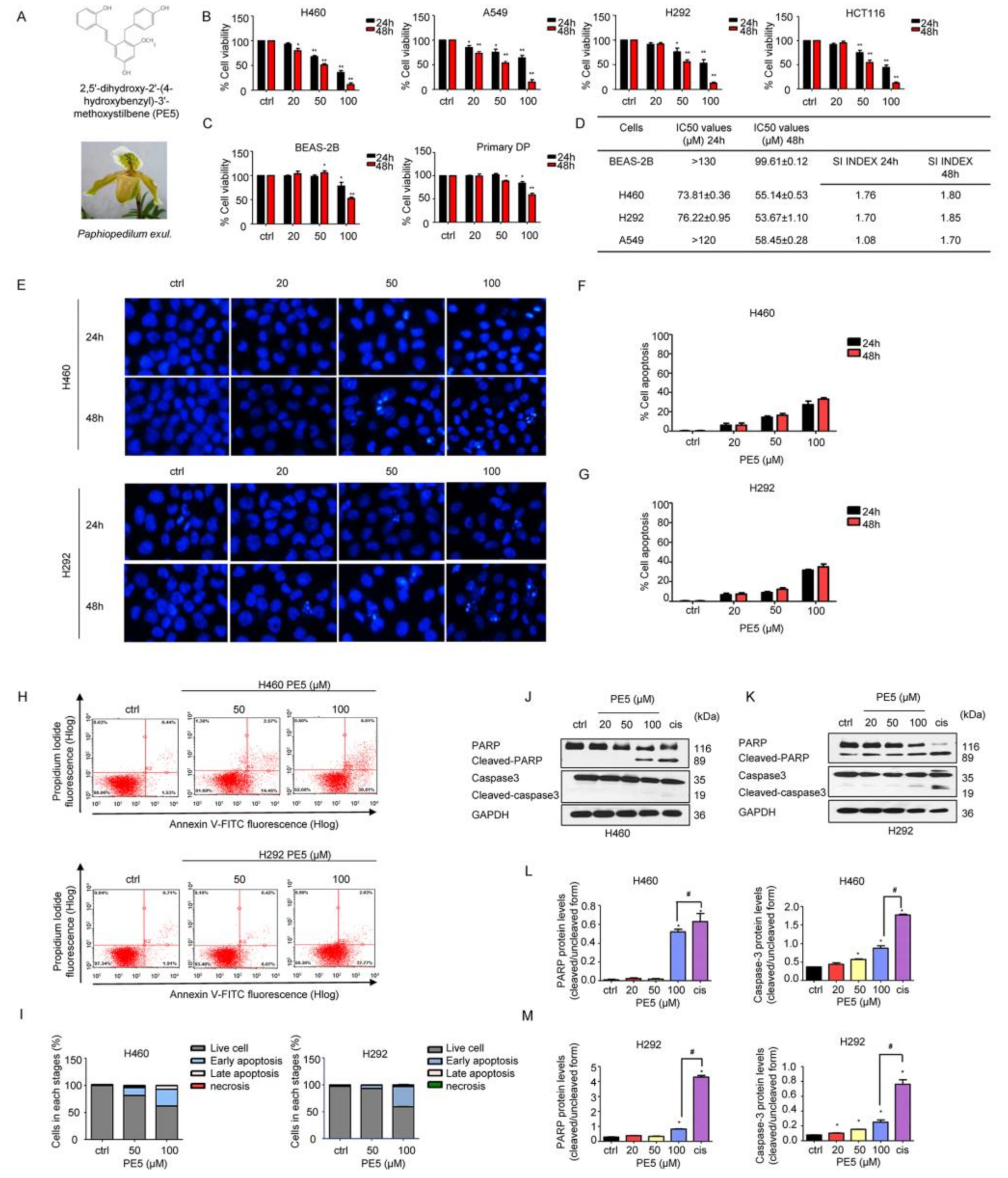 Antioxidants 10 00534 g001