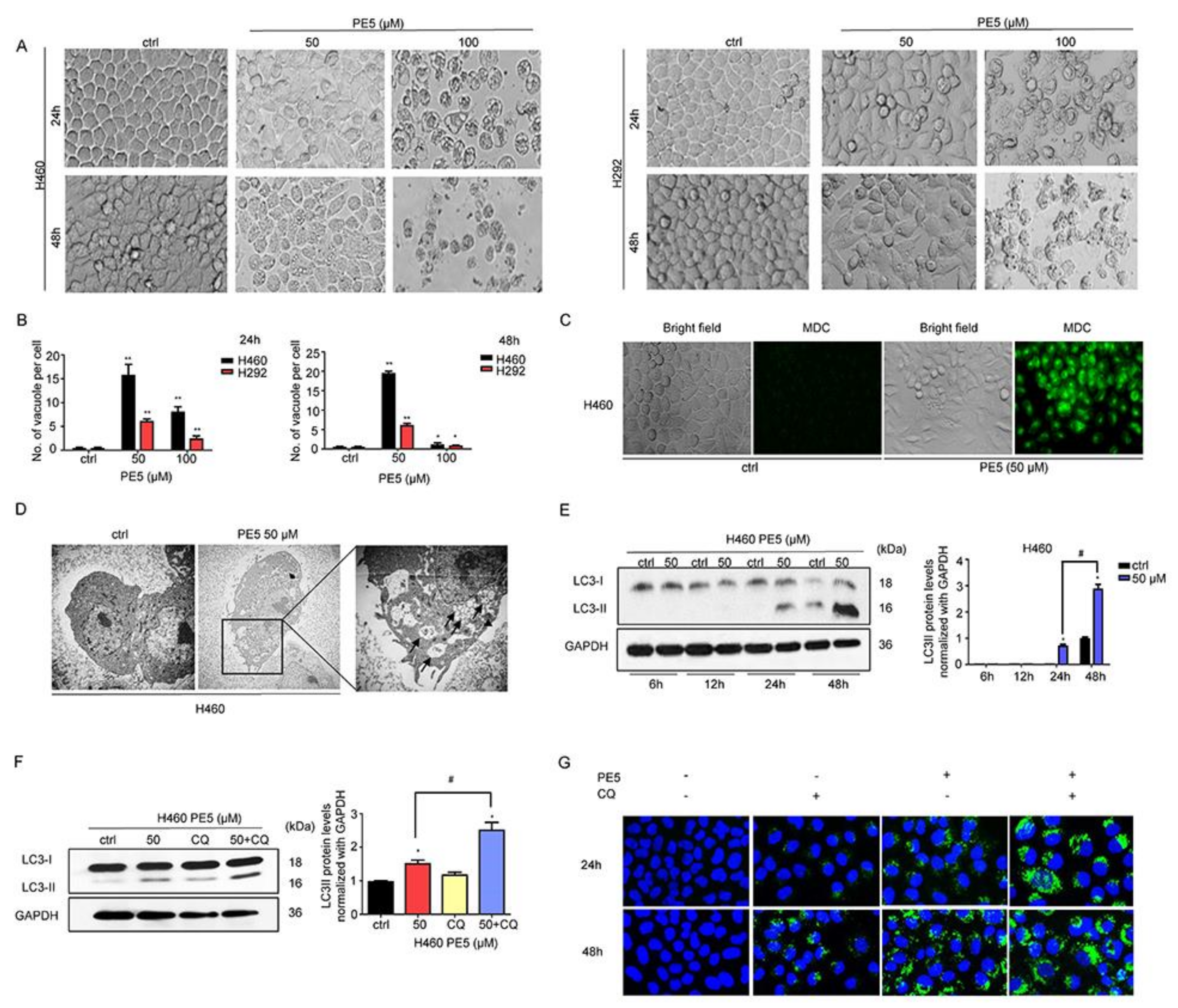 Antioxidants 10 00534 g002