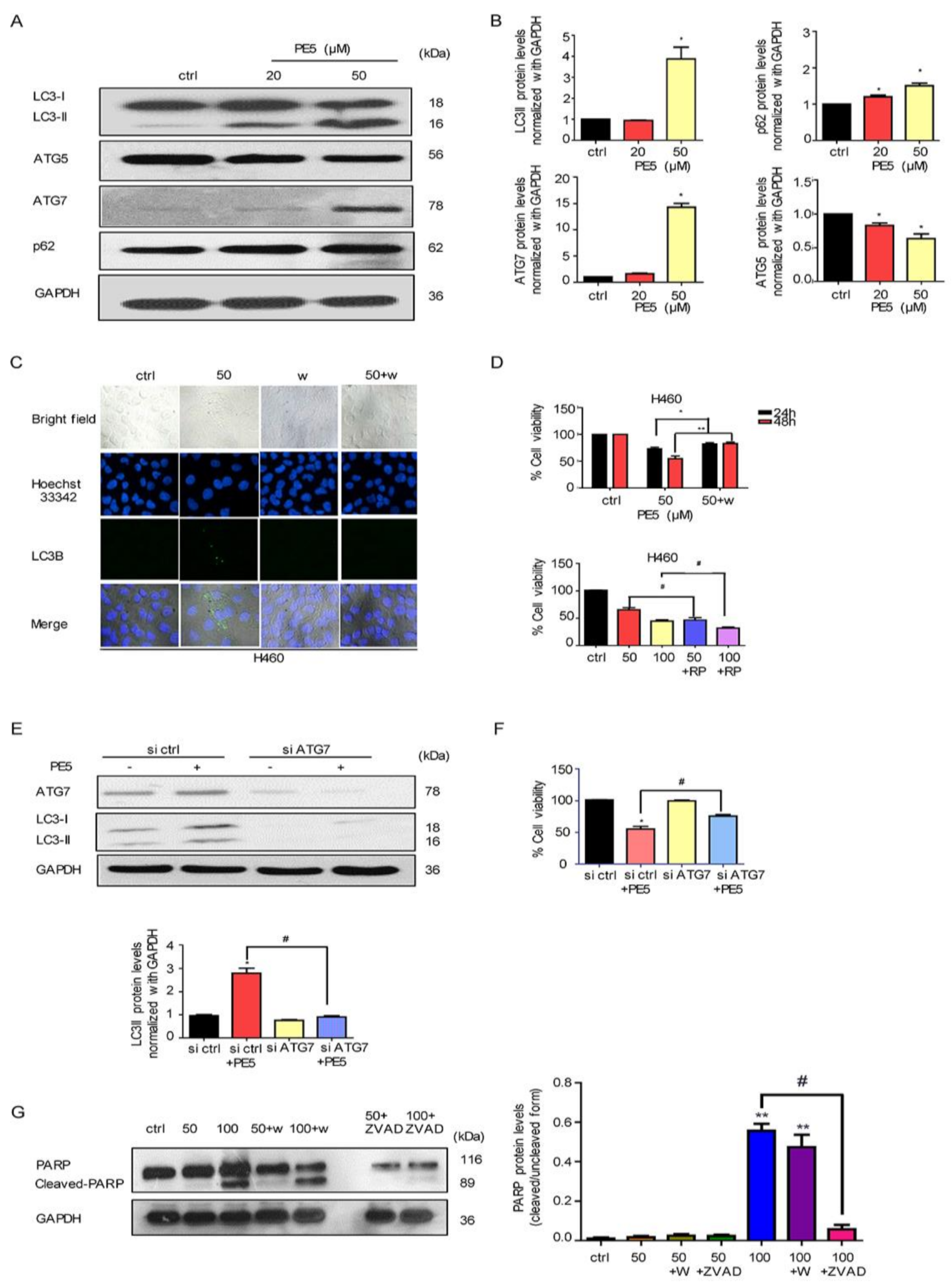 Antioxidants 10 00534 g003