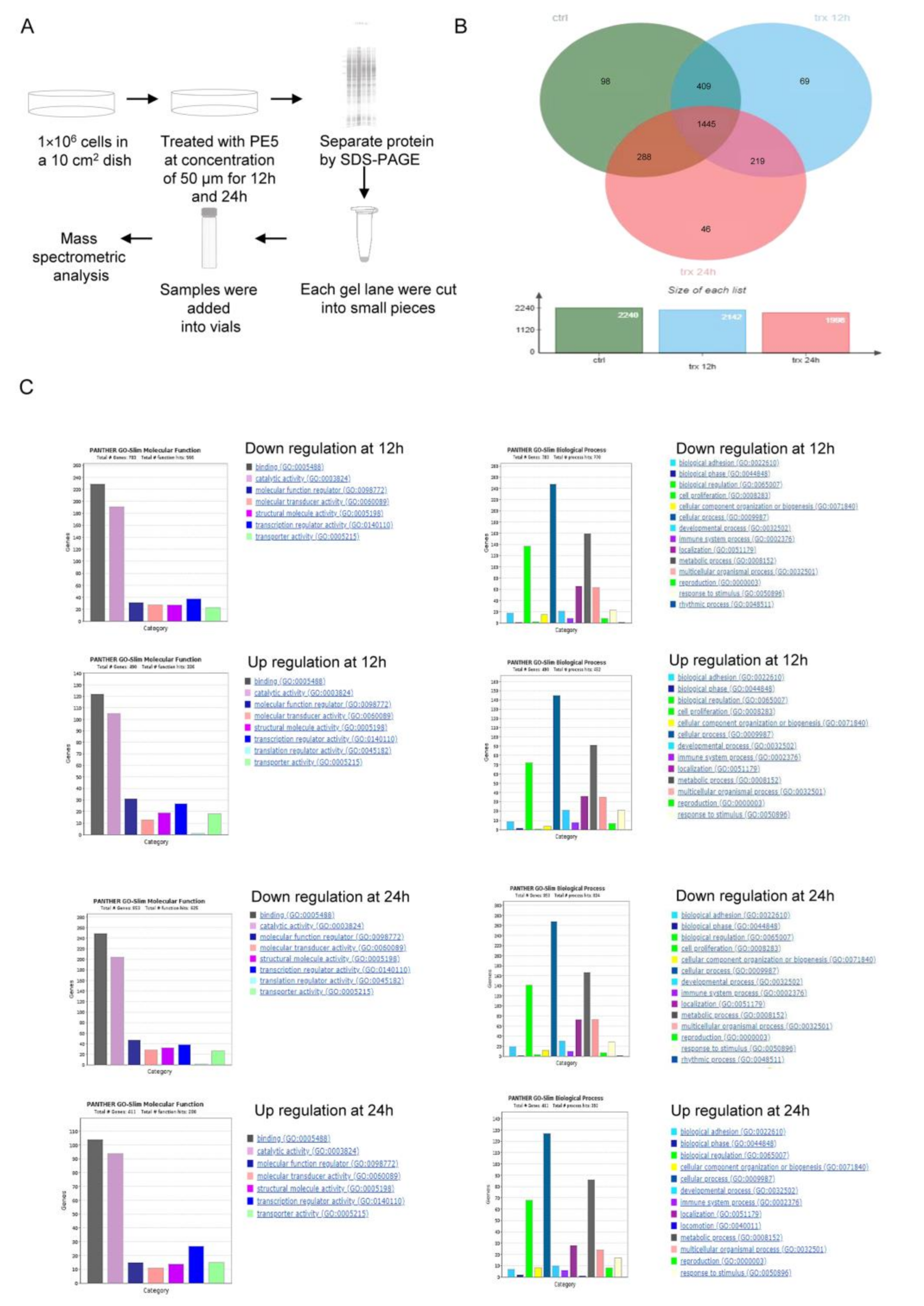 Antioxidants 10 00534 g004