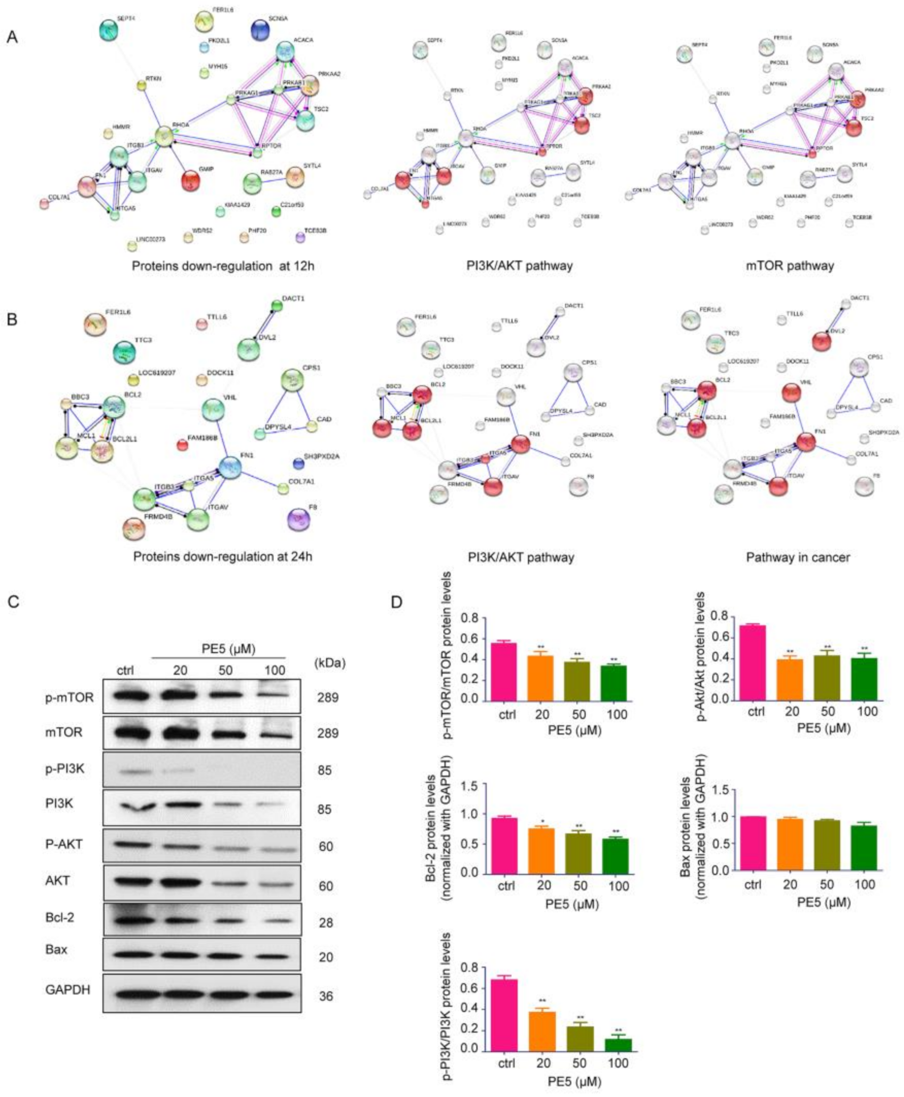 Antioxidants 10 00534 g006