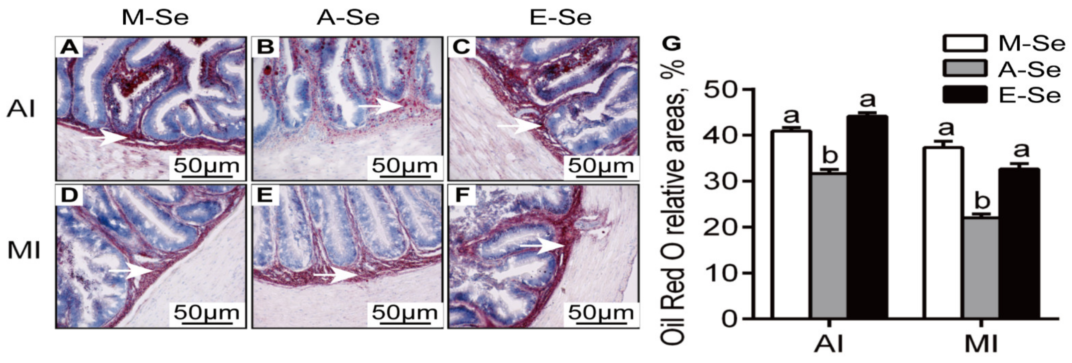 Antioxidants 10 00535 g002
