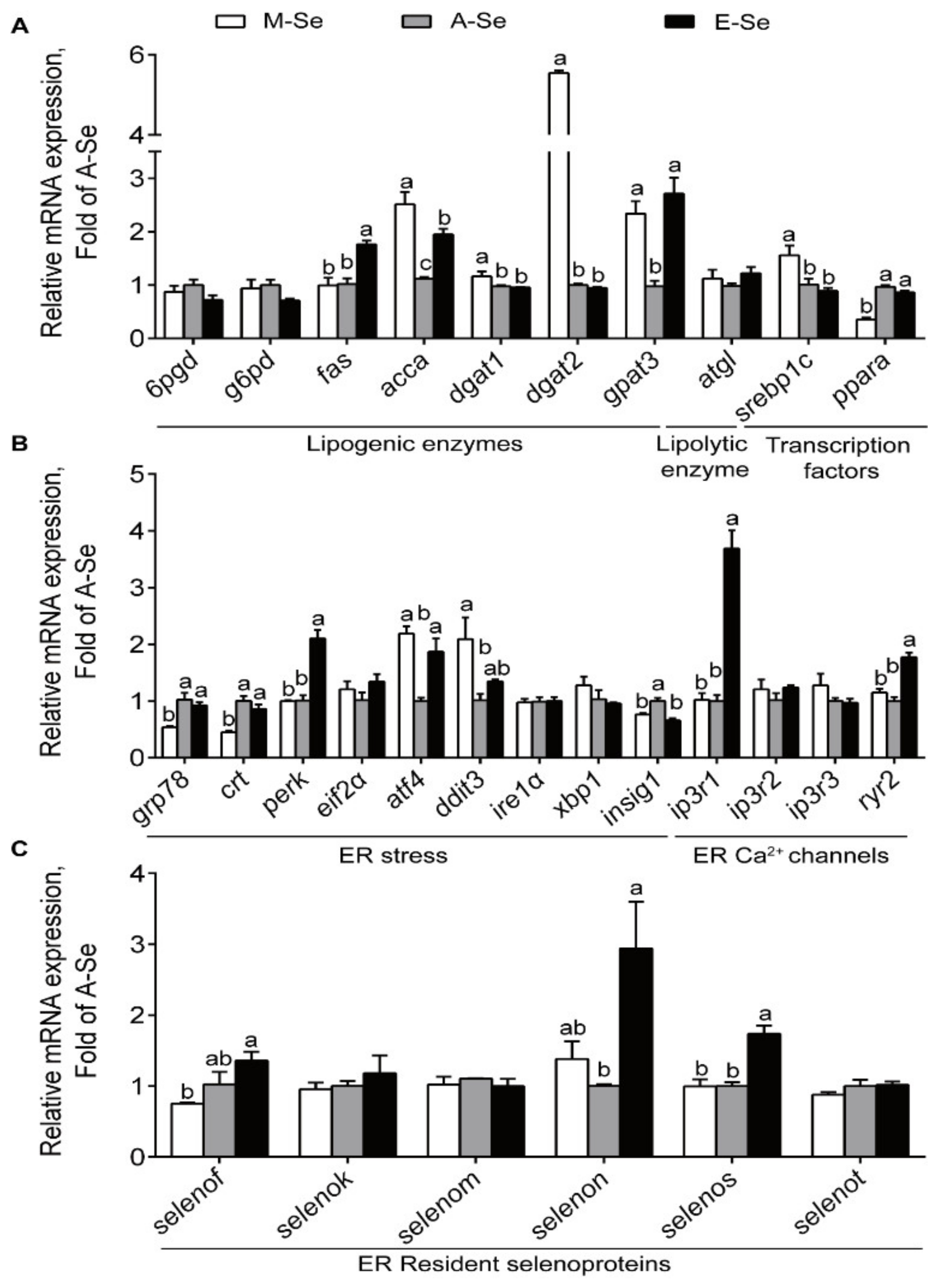 Antioxidants 10 00535 g006