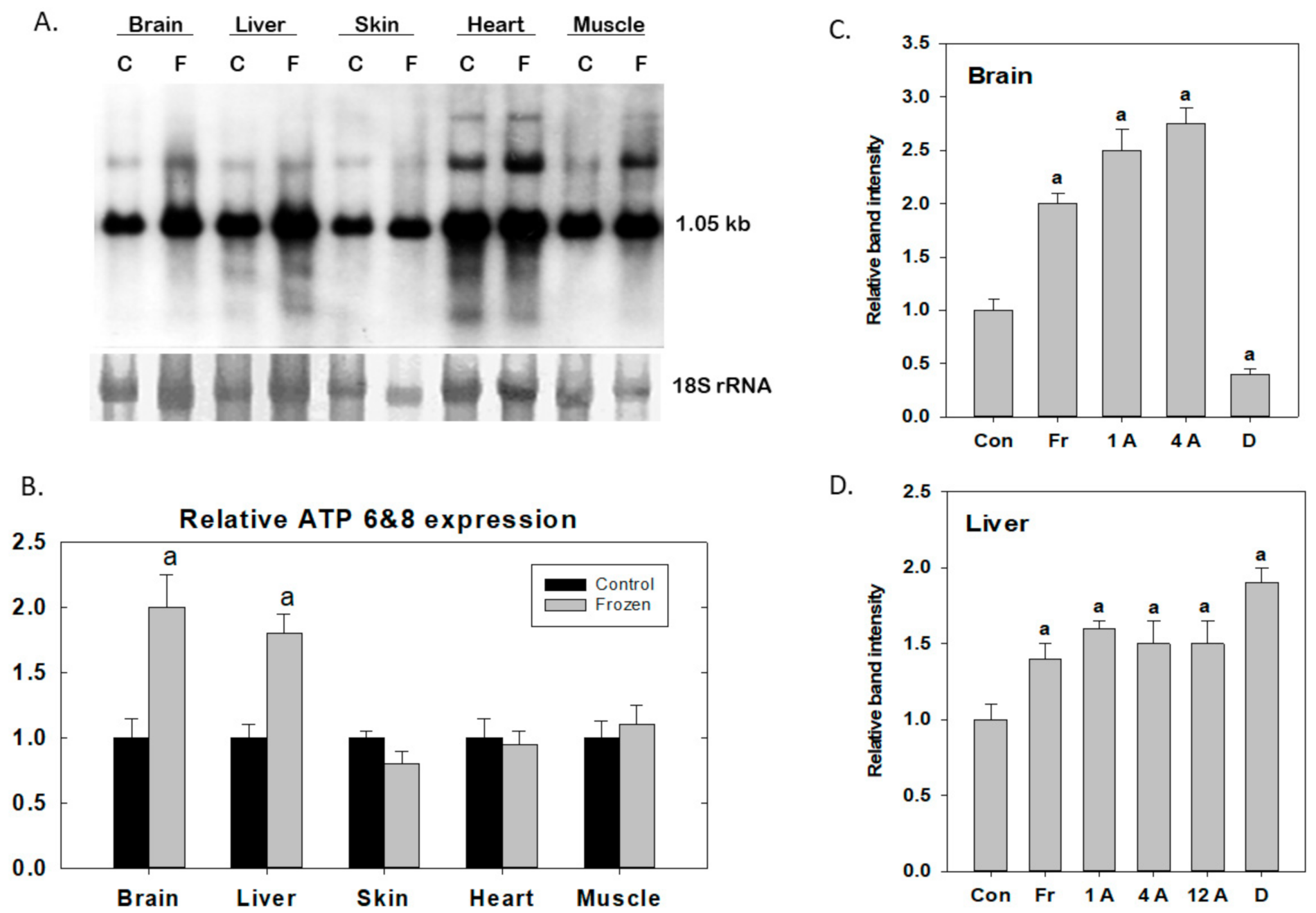 Antioxidants 10 00543 g002 Antioxidants 10 00543 g002