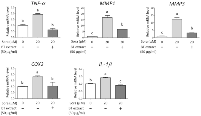 Antioxidants 10 00544 g006