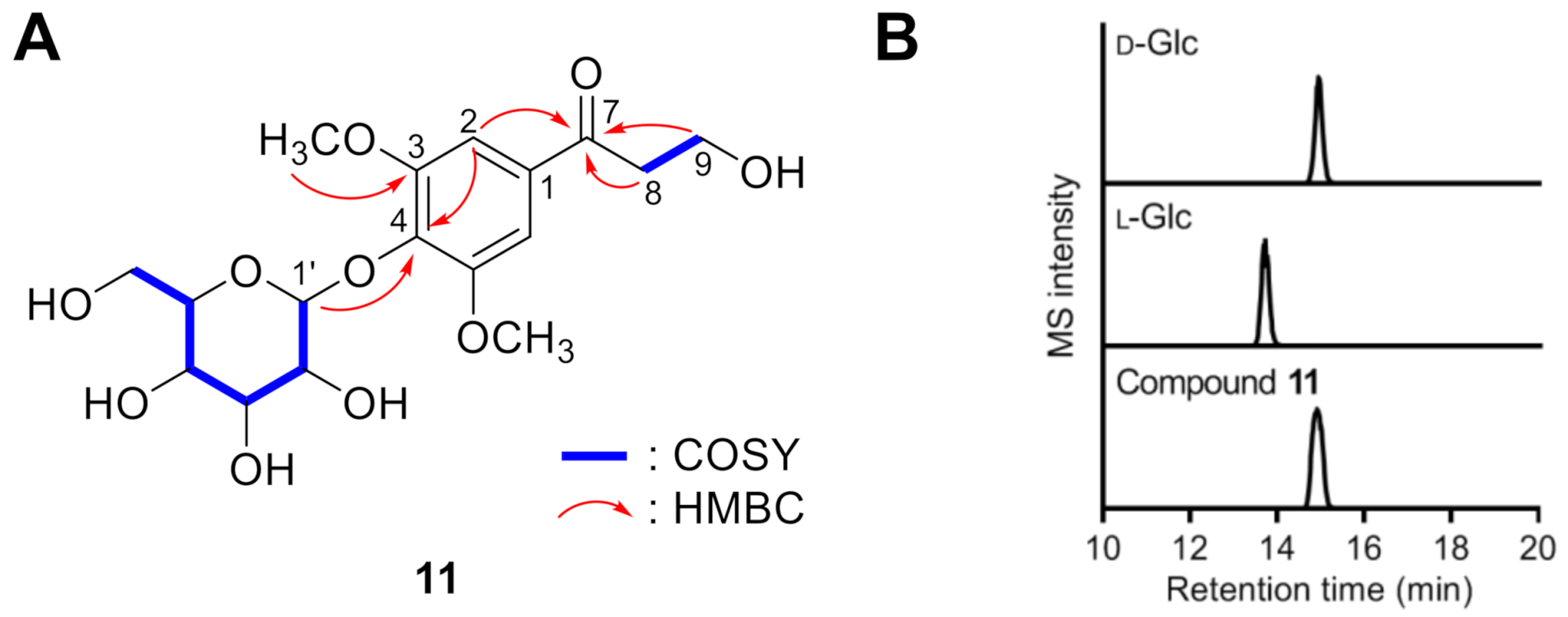 Antioxidants 10 00551 g004