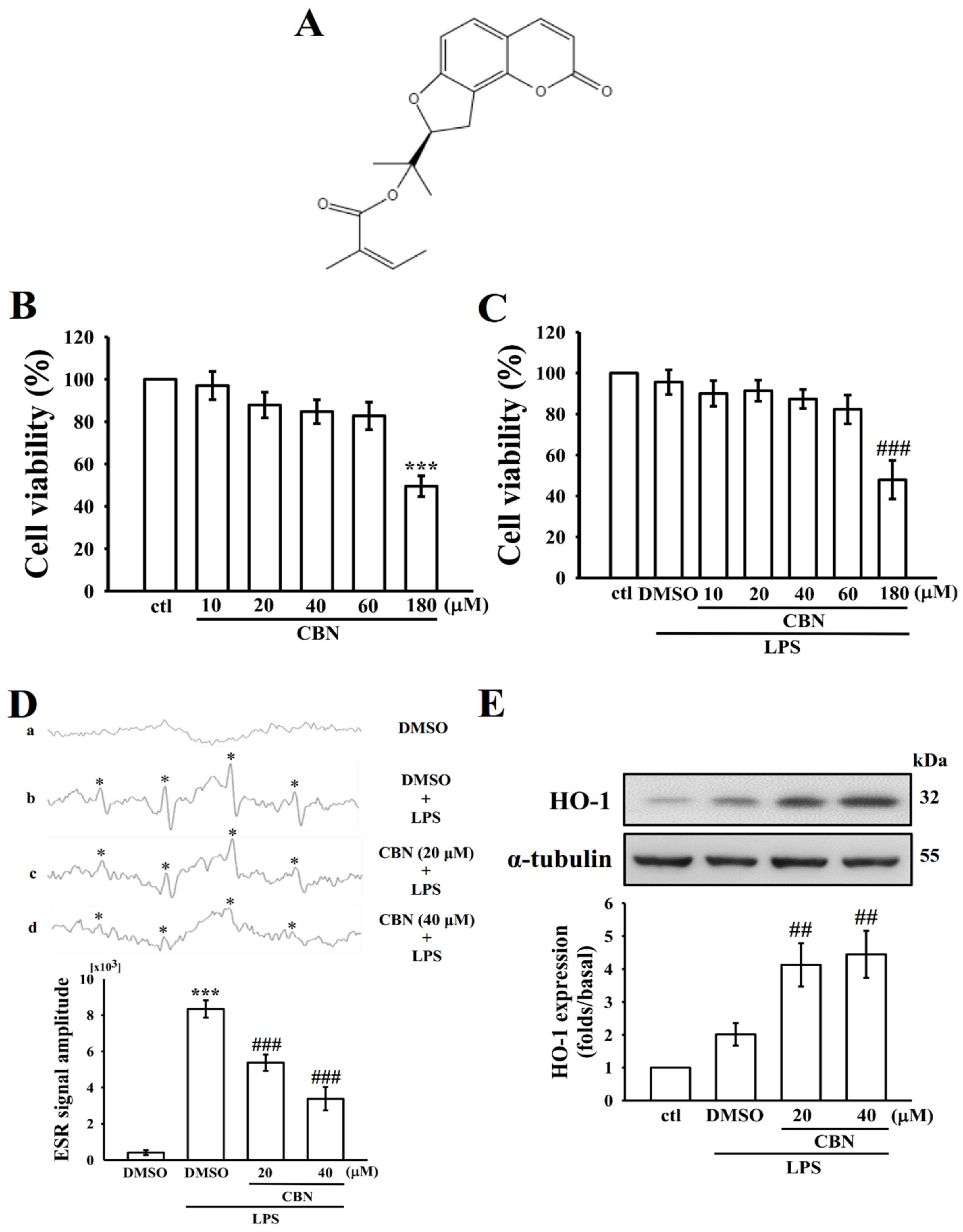 Antioxidants 10 00553 g001