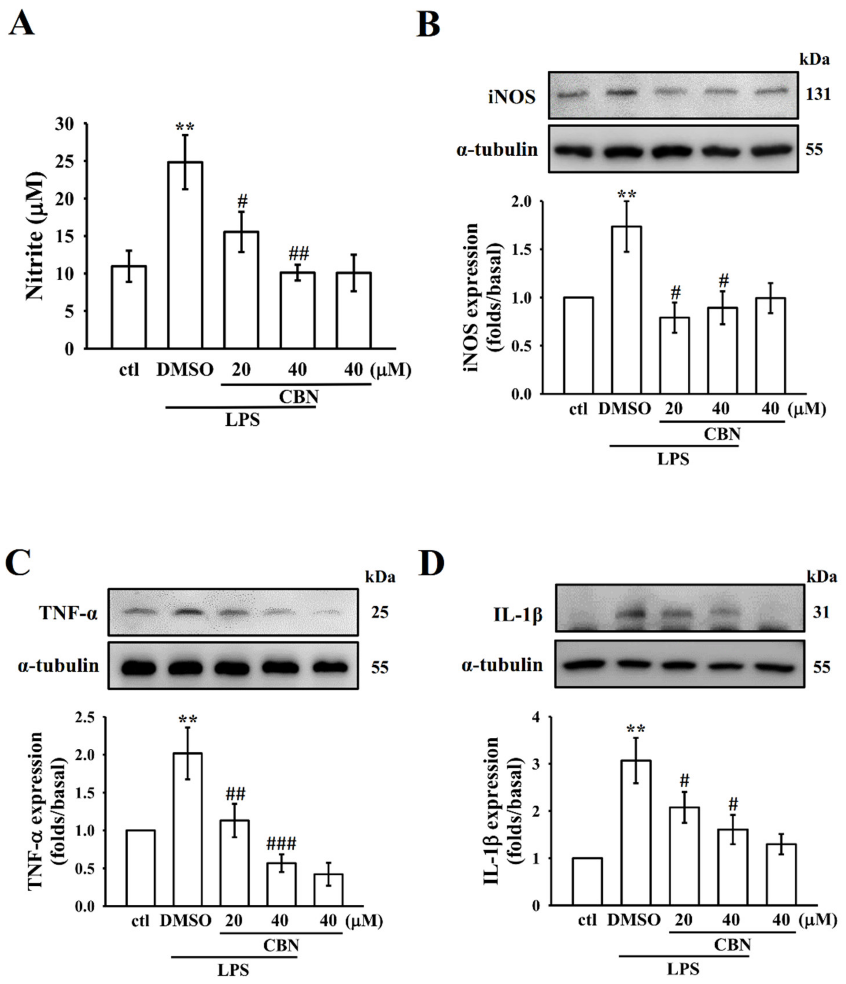 Antioxidants 10 00553 g004