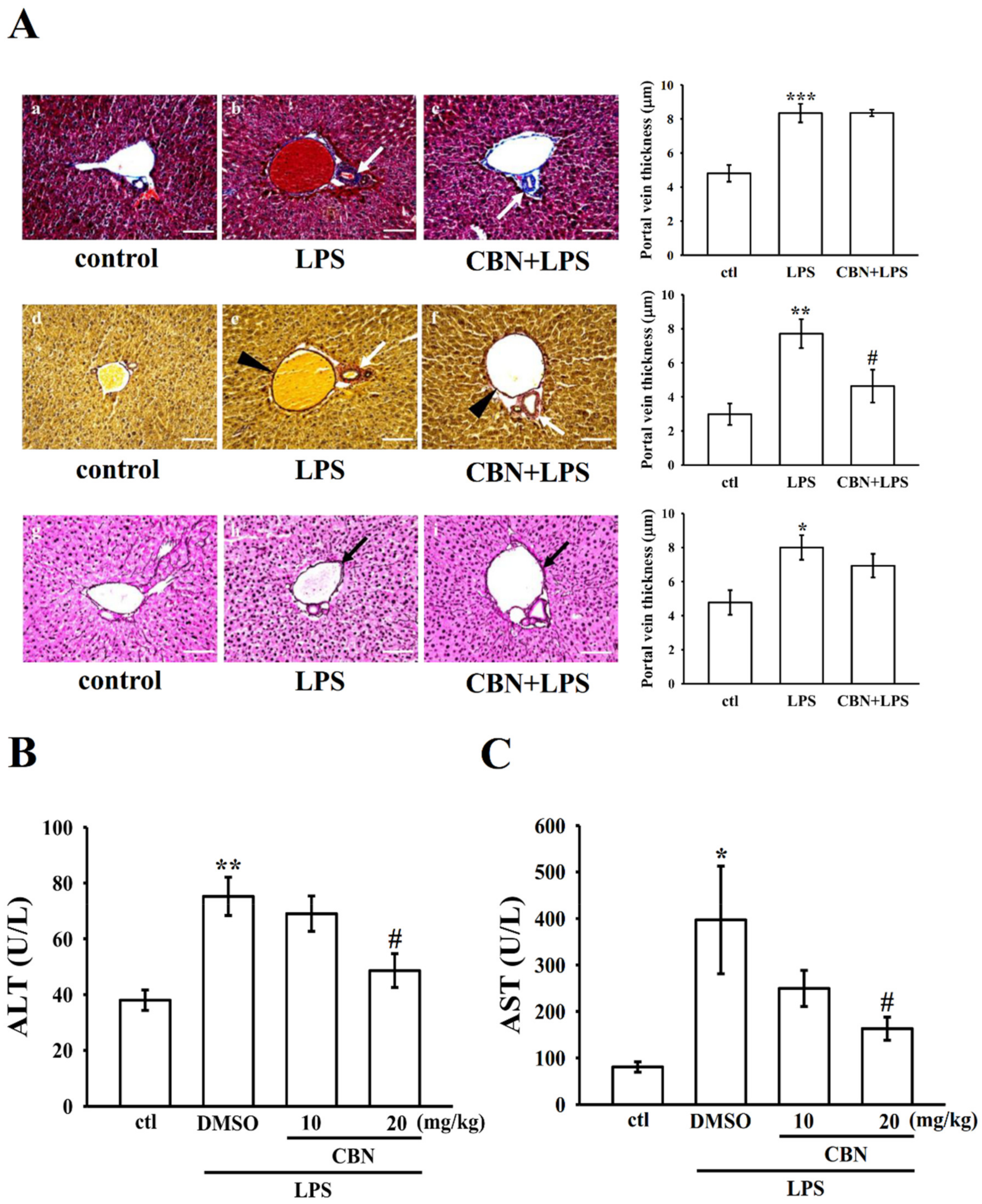 Antioxidants 10 00553 g005