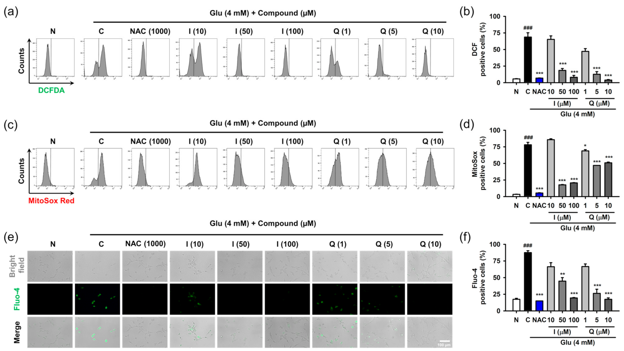 Antioxidants 10 00554 g004