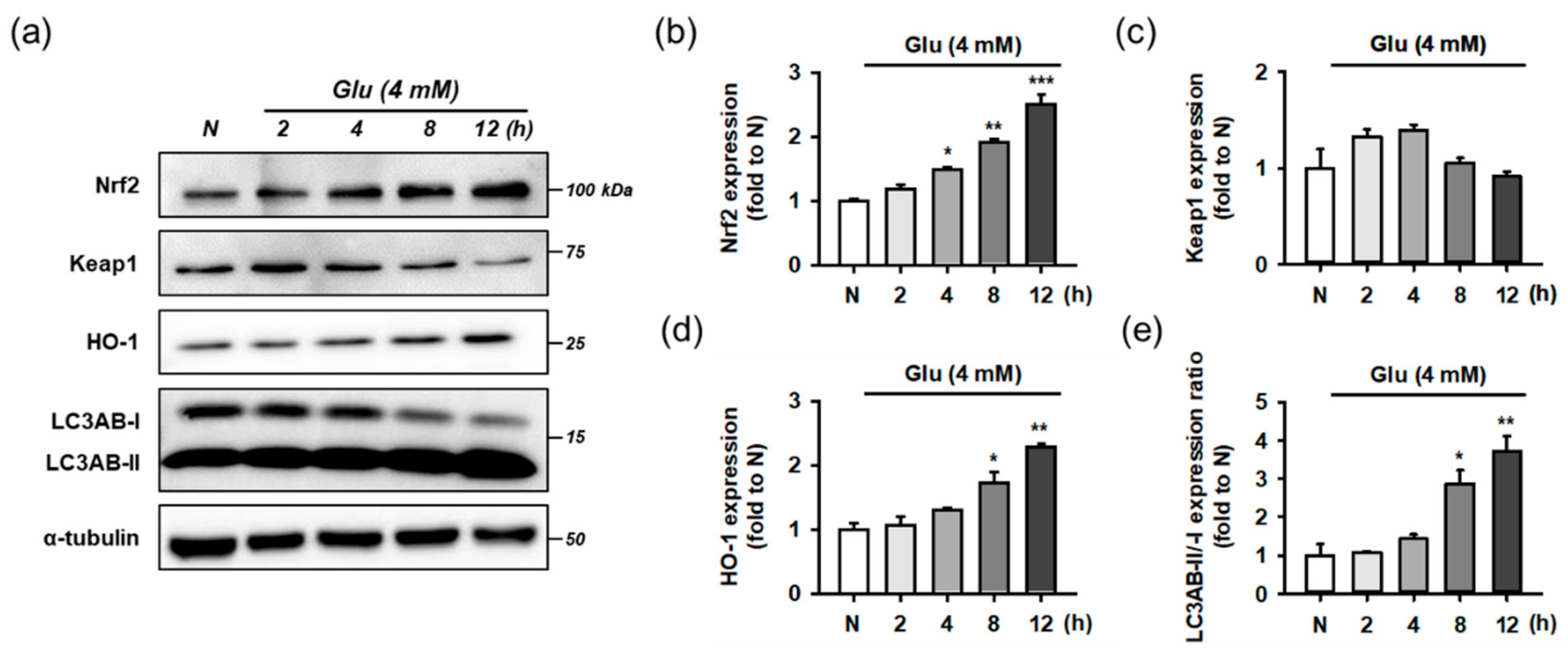 Antioxidants 10 00554 g007