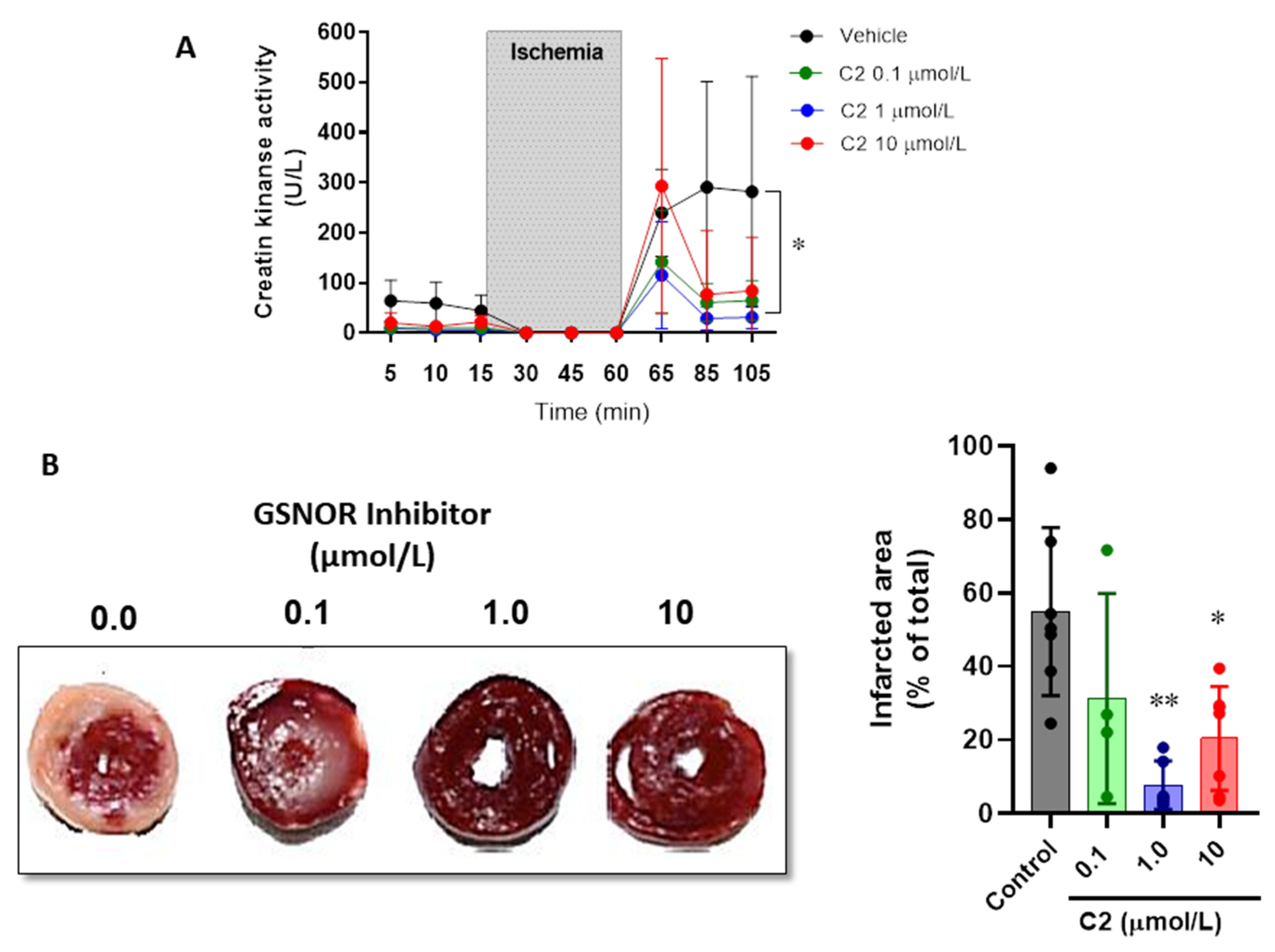 Antioxidants 10 00555 g002 Antioxidants 10 00555 g002