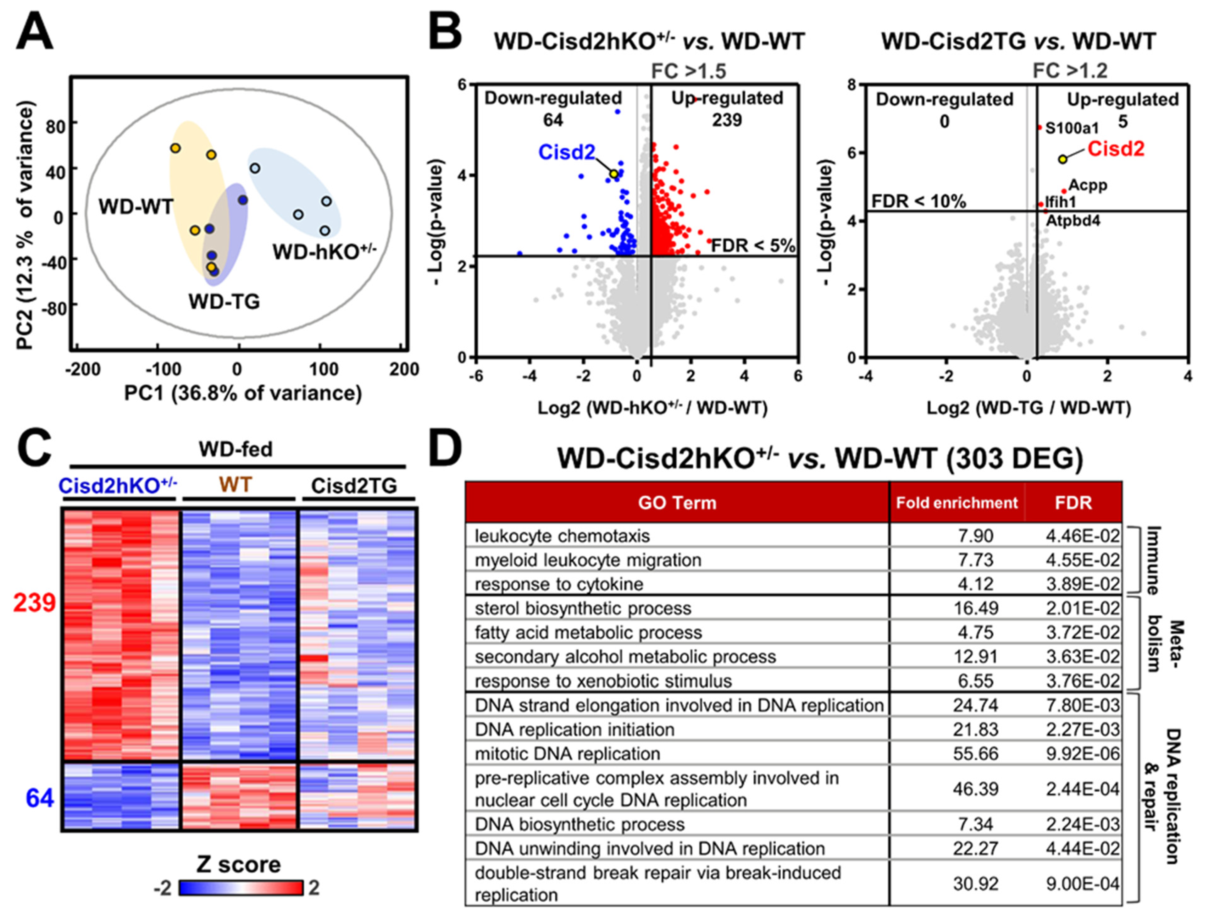 Antioxidants 10 00559 g003