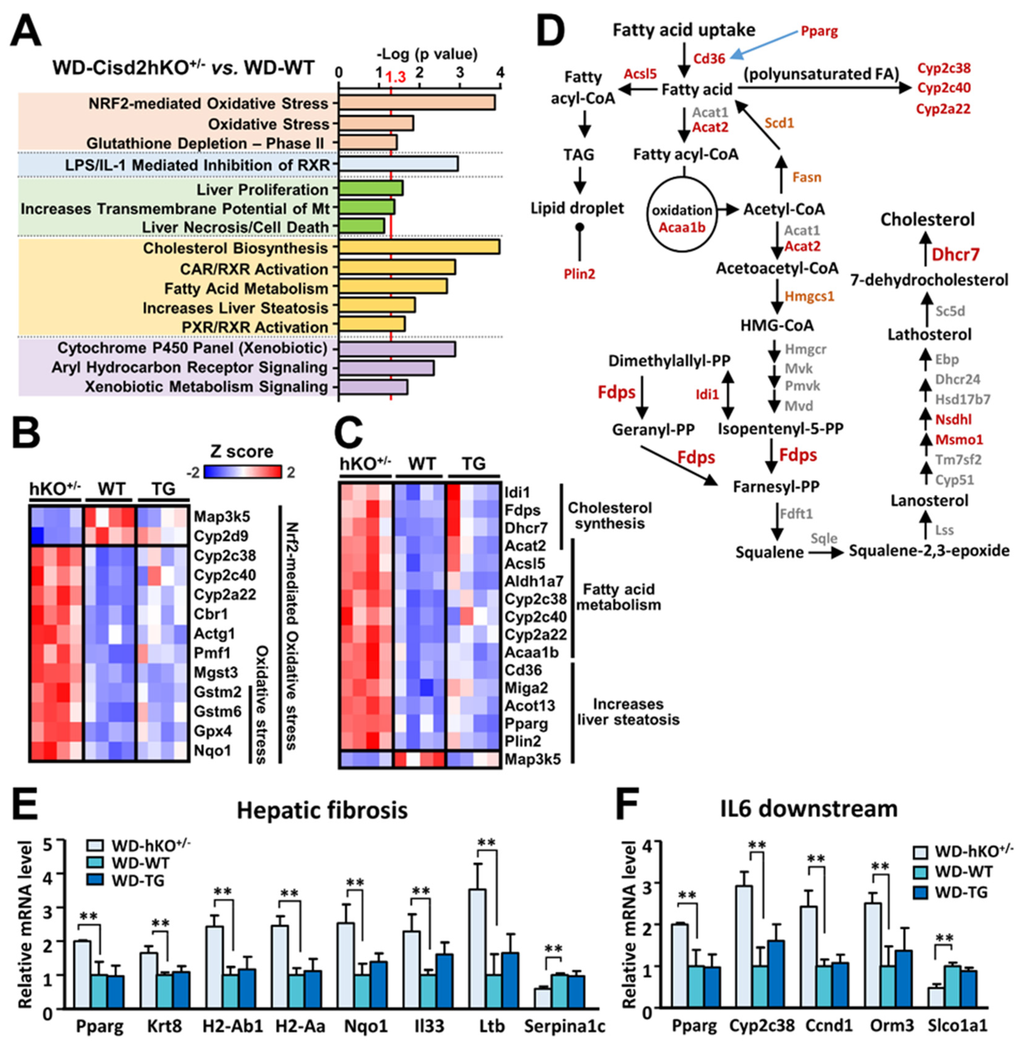 Antioxidants 10 00559 g004