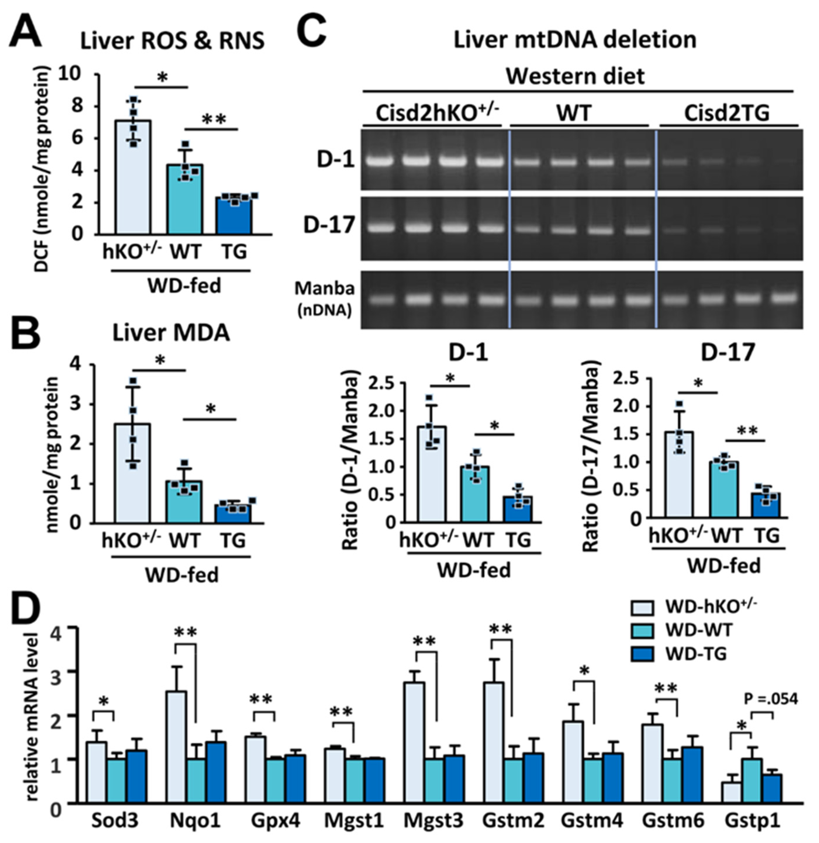 Antioxidants 10 00559 g005
