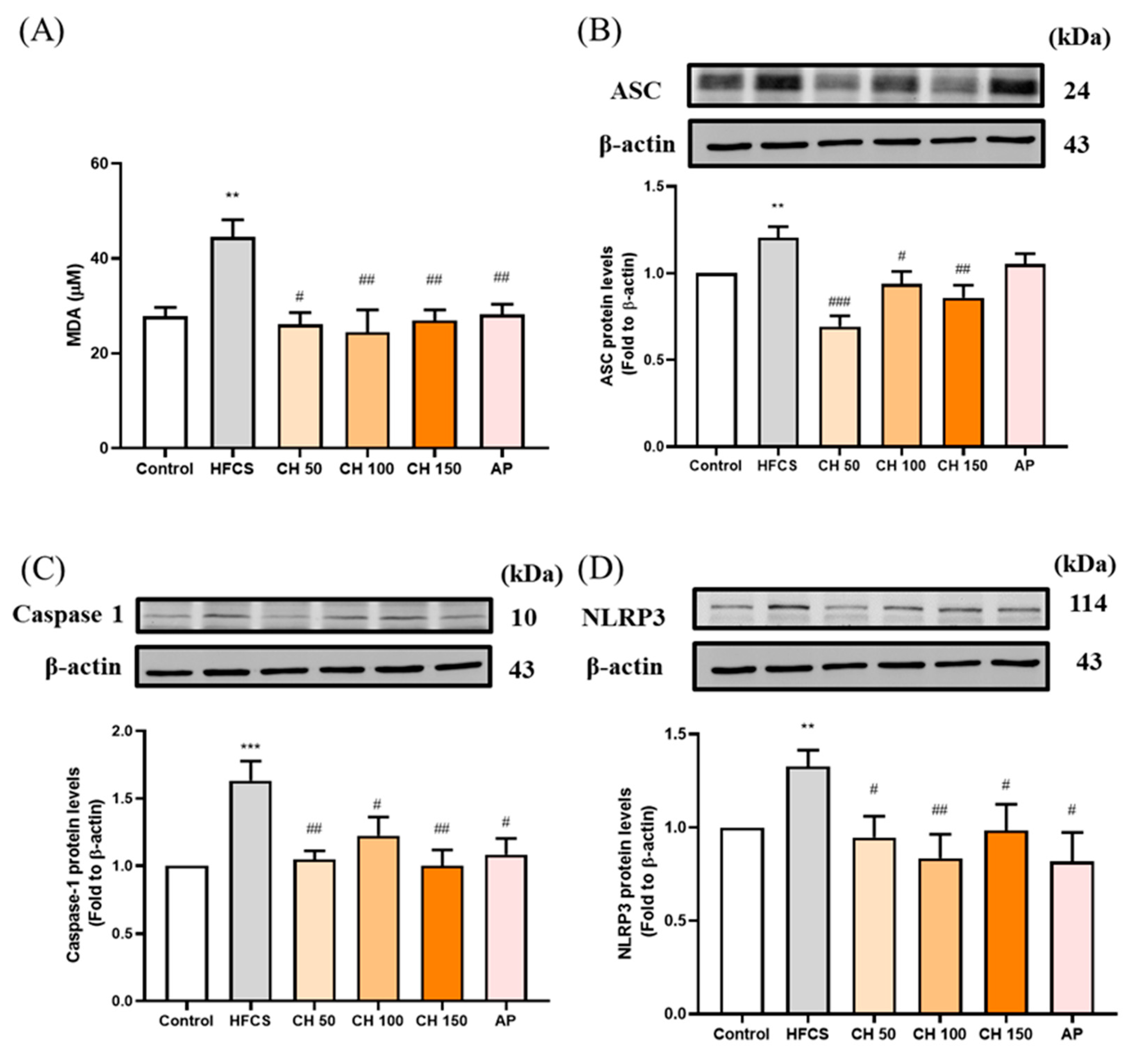 Antioxidants 10 00564 g006 Antioxidants 10 00564 g006