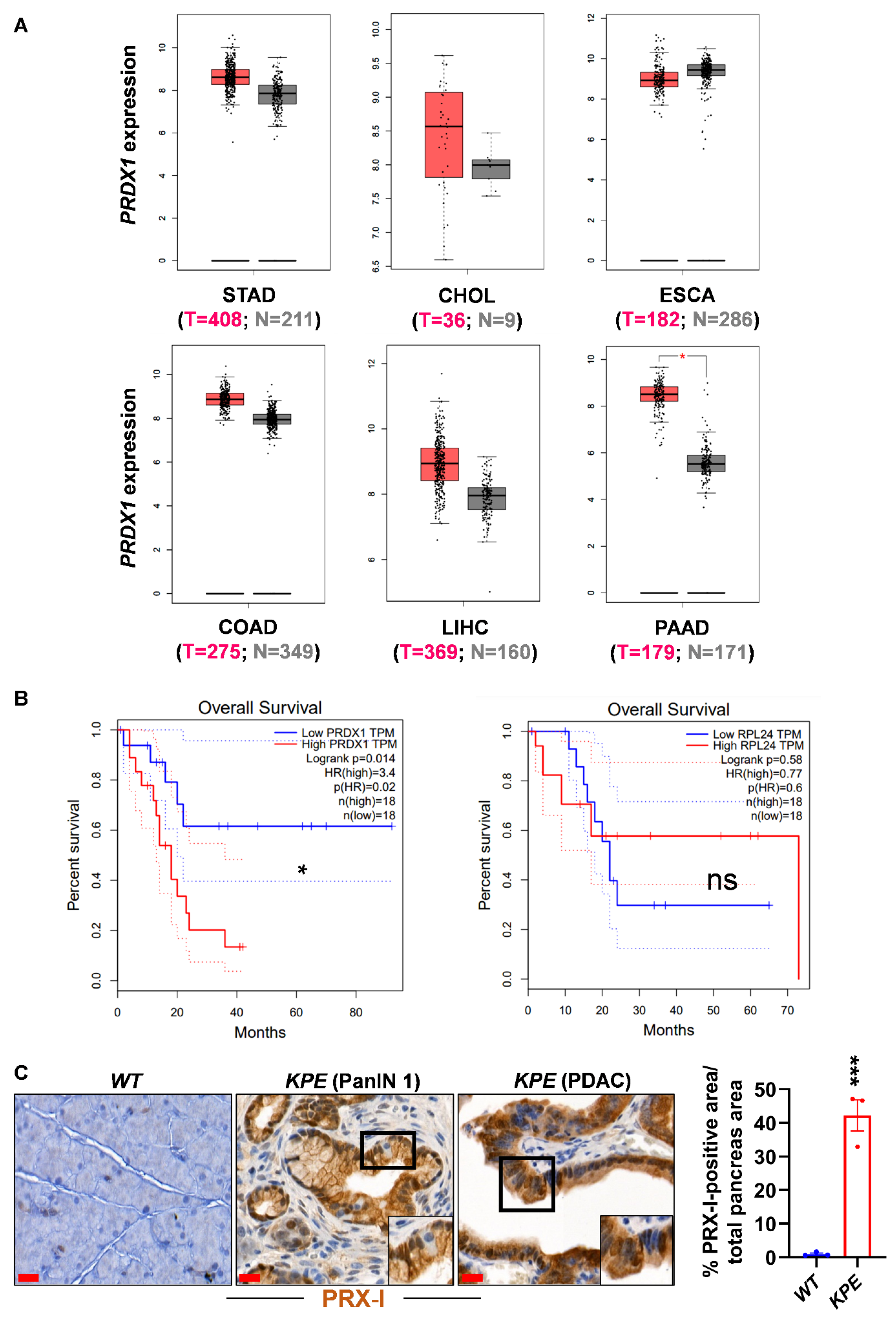 Antioxidants 10 00570 g001