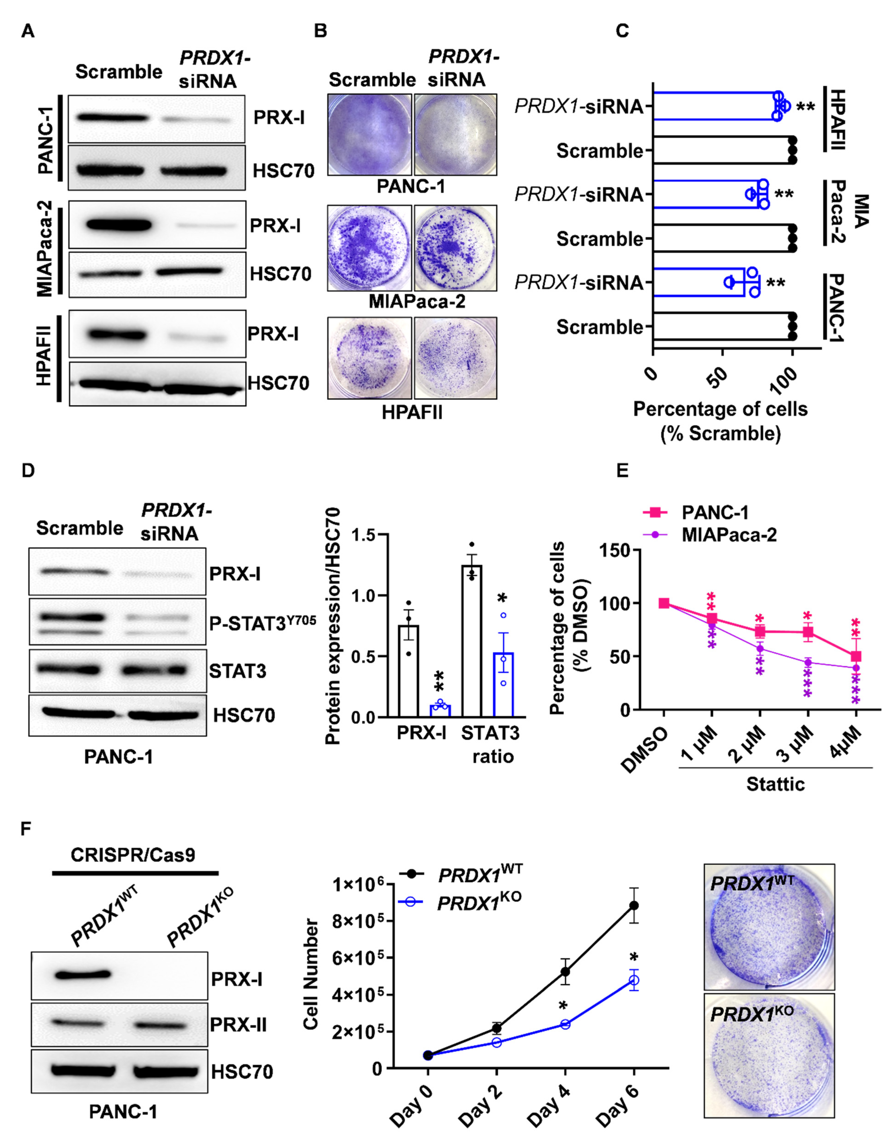 Antioxidants 10 00570 g002