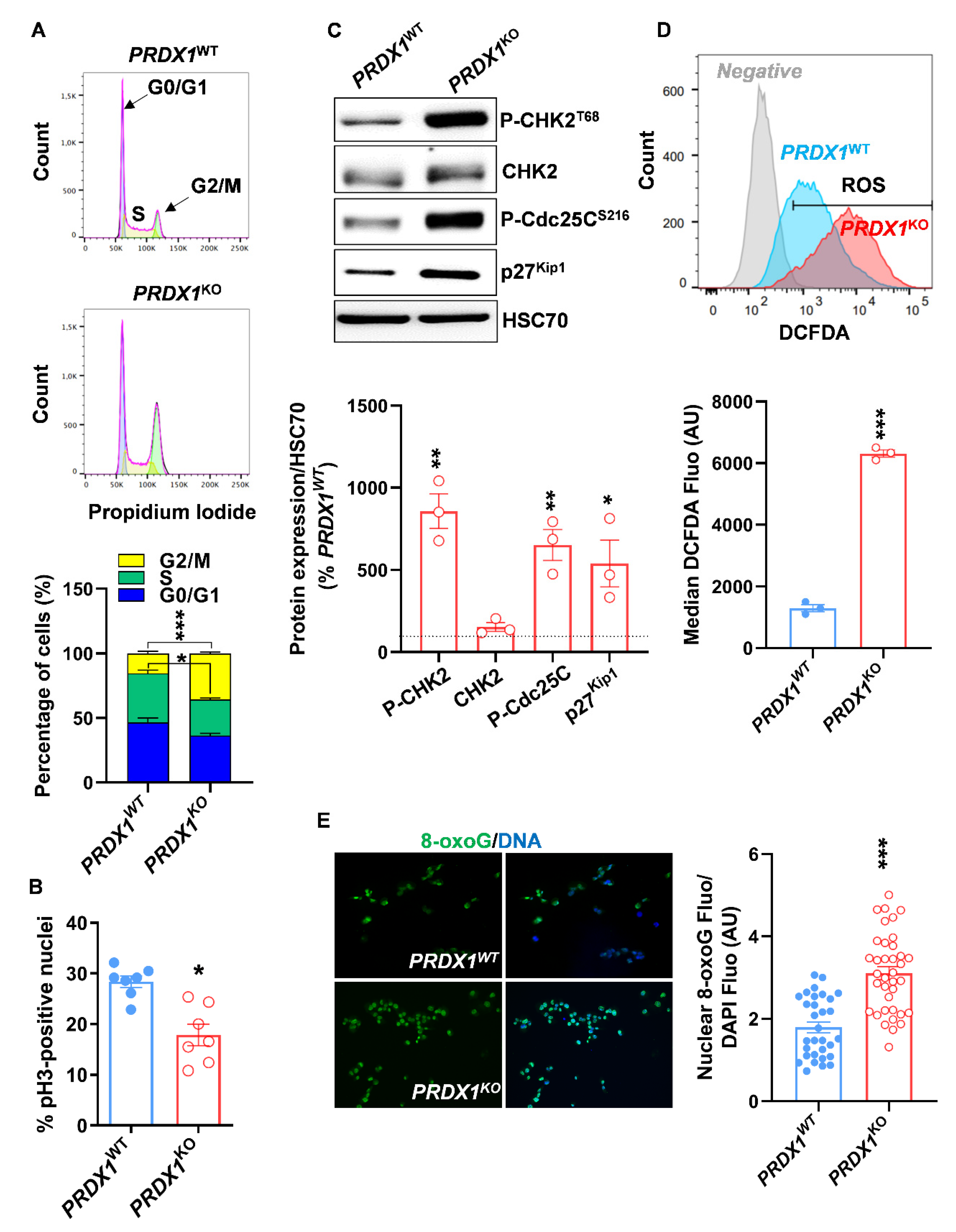 Antioxidants 10 00570 g003