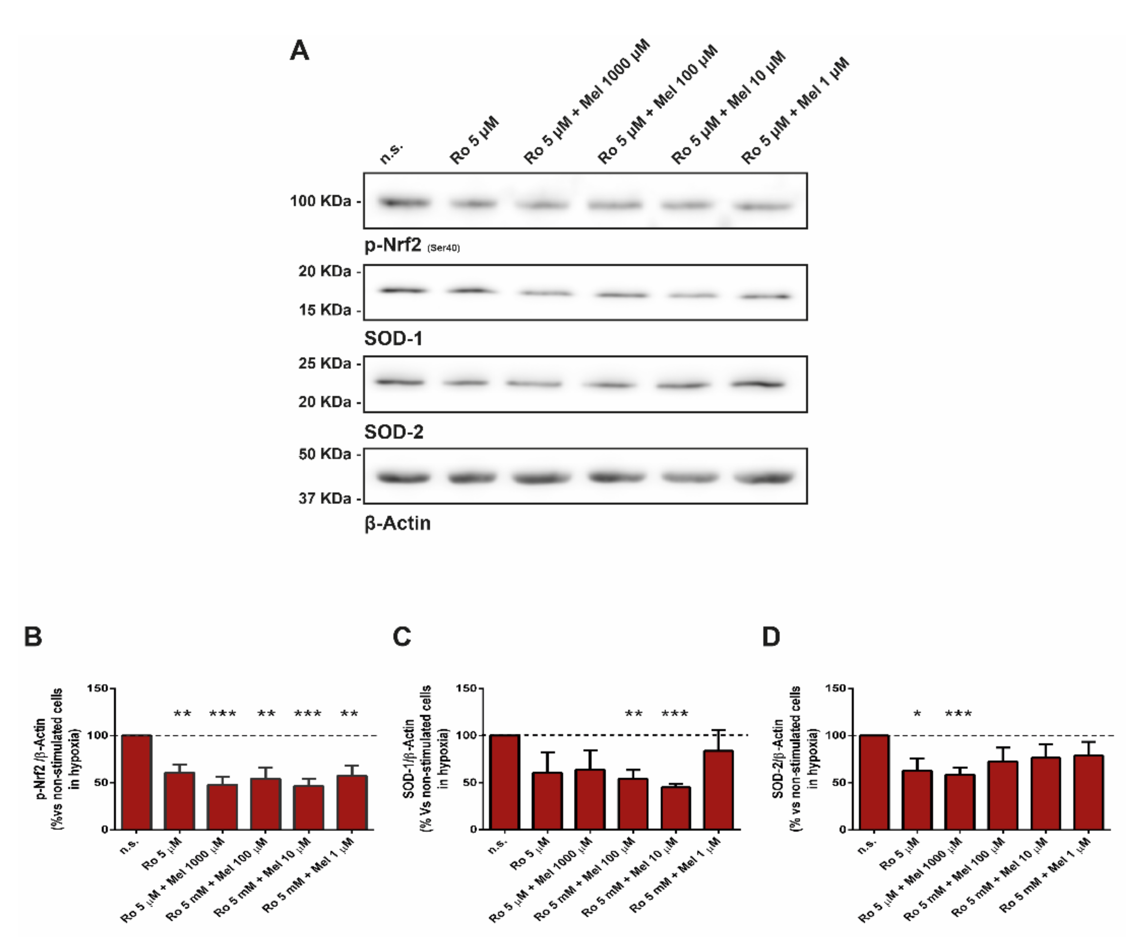 Antioxidants 10 00577 g005