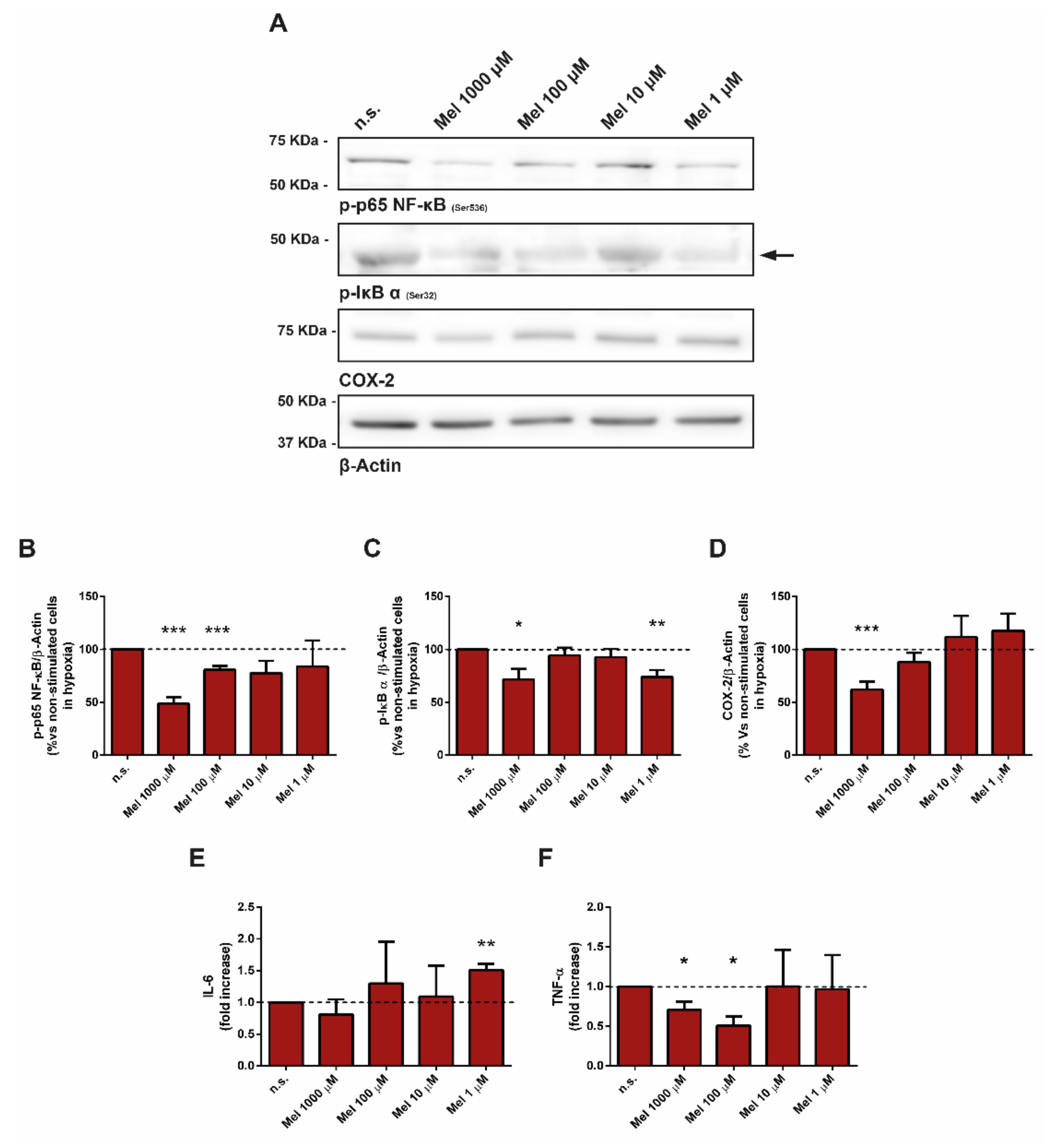 Antioxidants 10 00577 g007