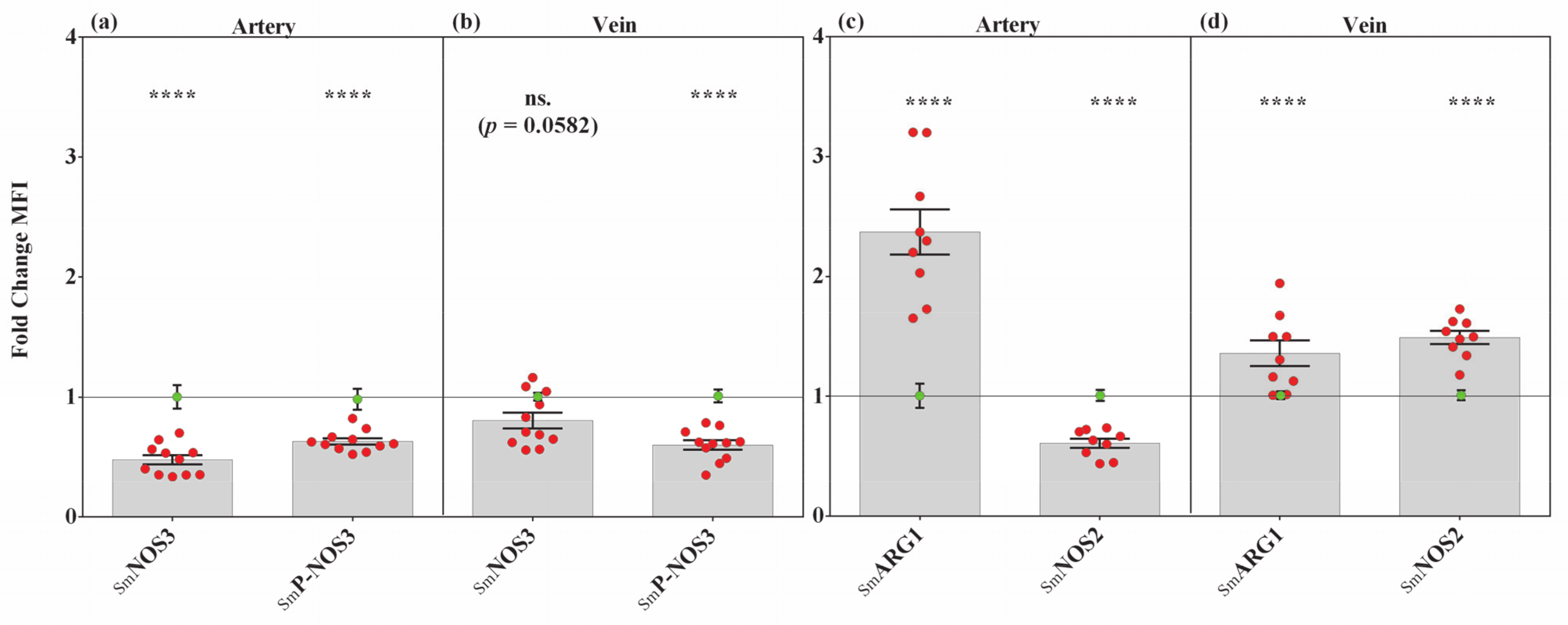 Antioxidants 10 00583 g003