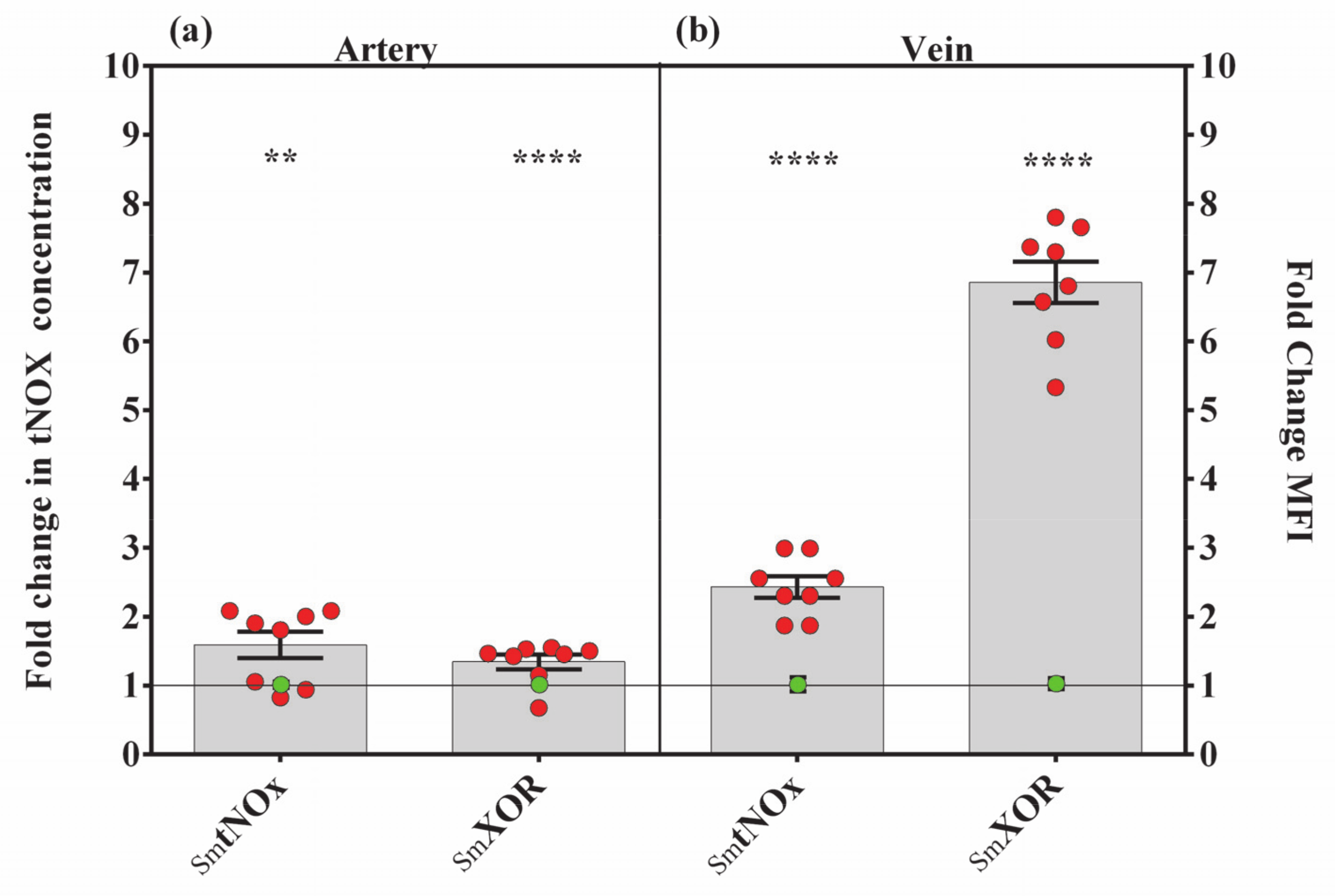 Antioxidants 10 00583 g004