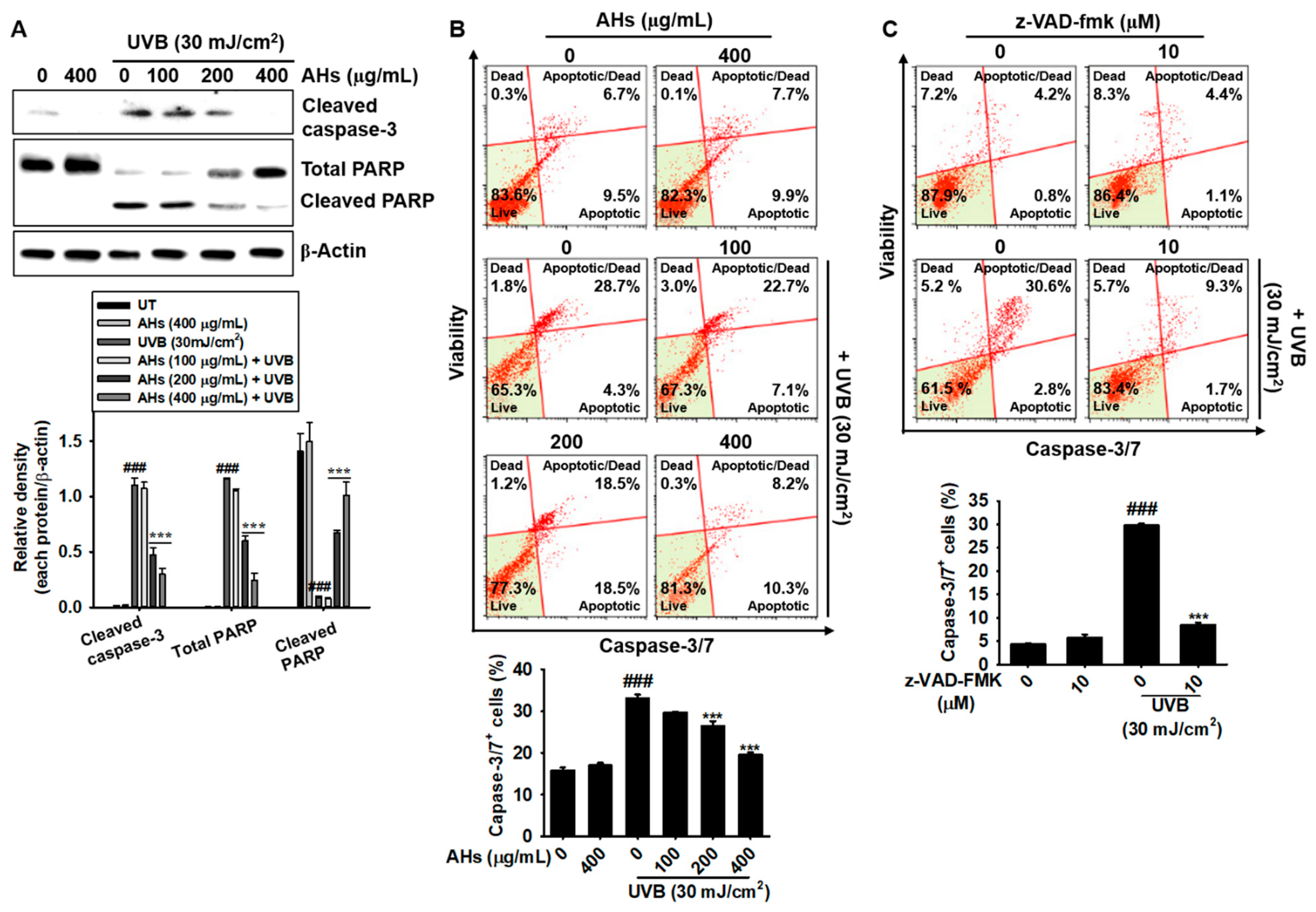 Antioxidants 10 00584 g003