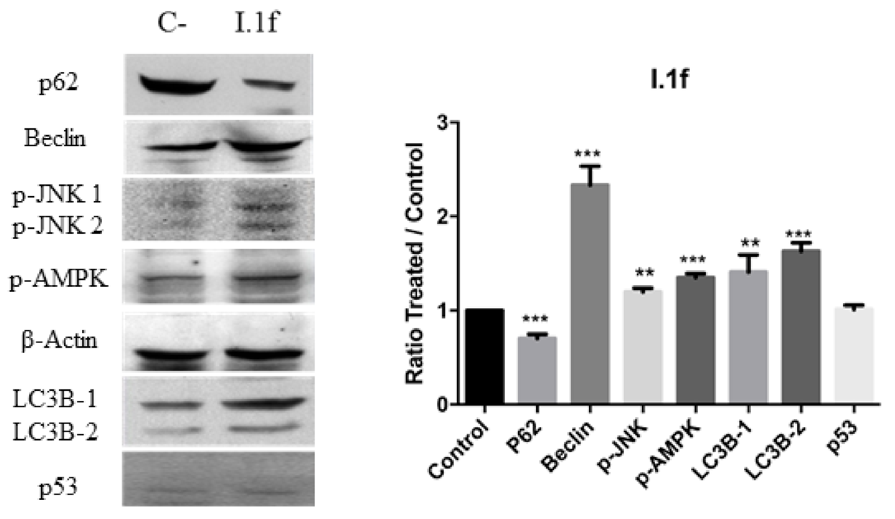 Antioxidants 10 00590 g010