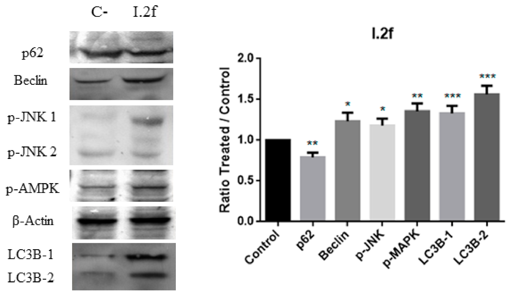Antioxidants 10 00590 g011