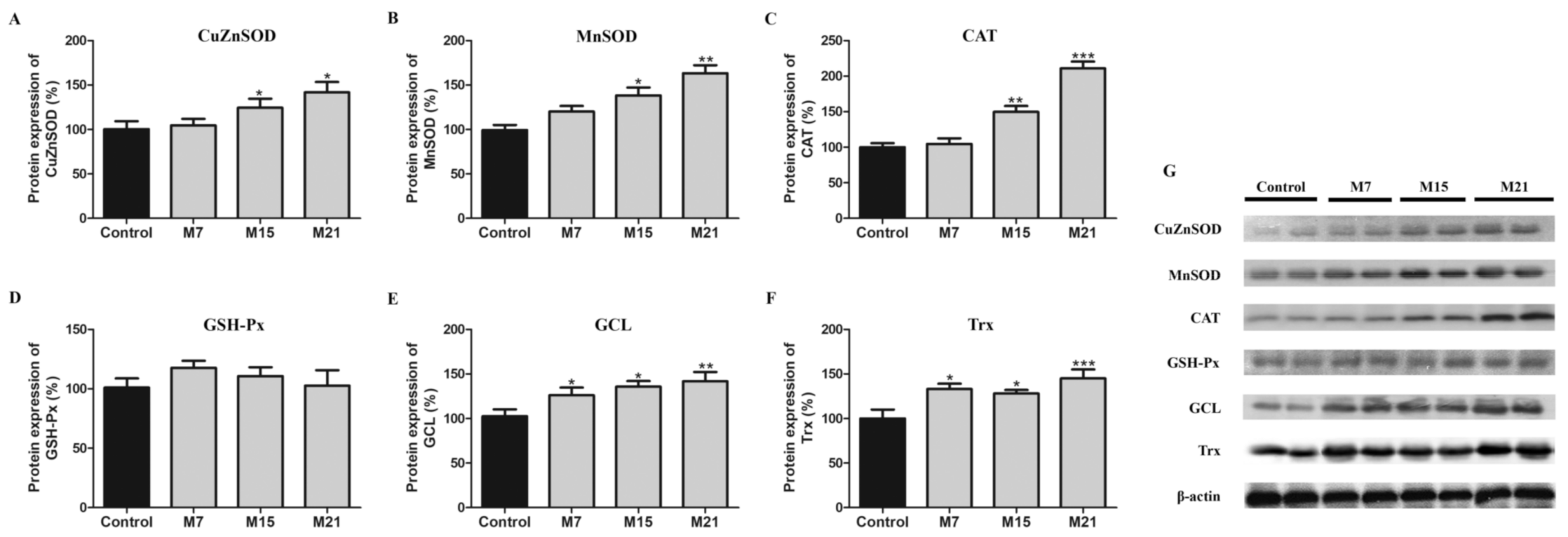 Antioxidants 10 00591 g001