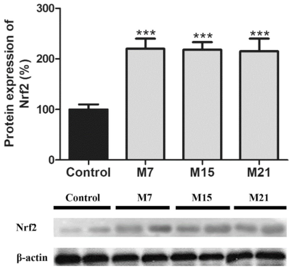 Antioxidants 10 00591 g005