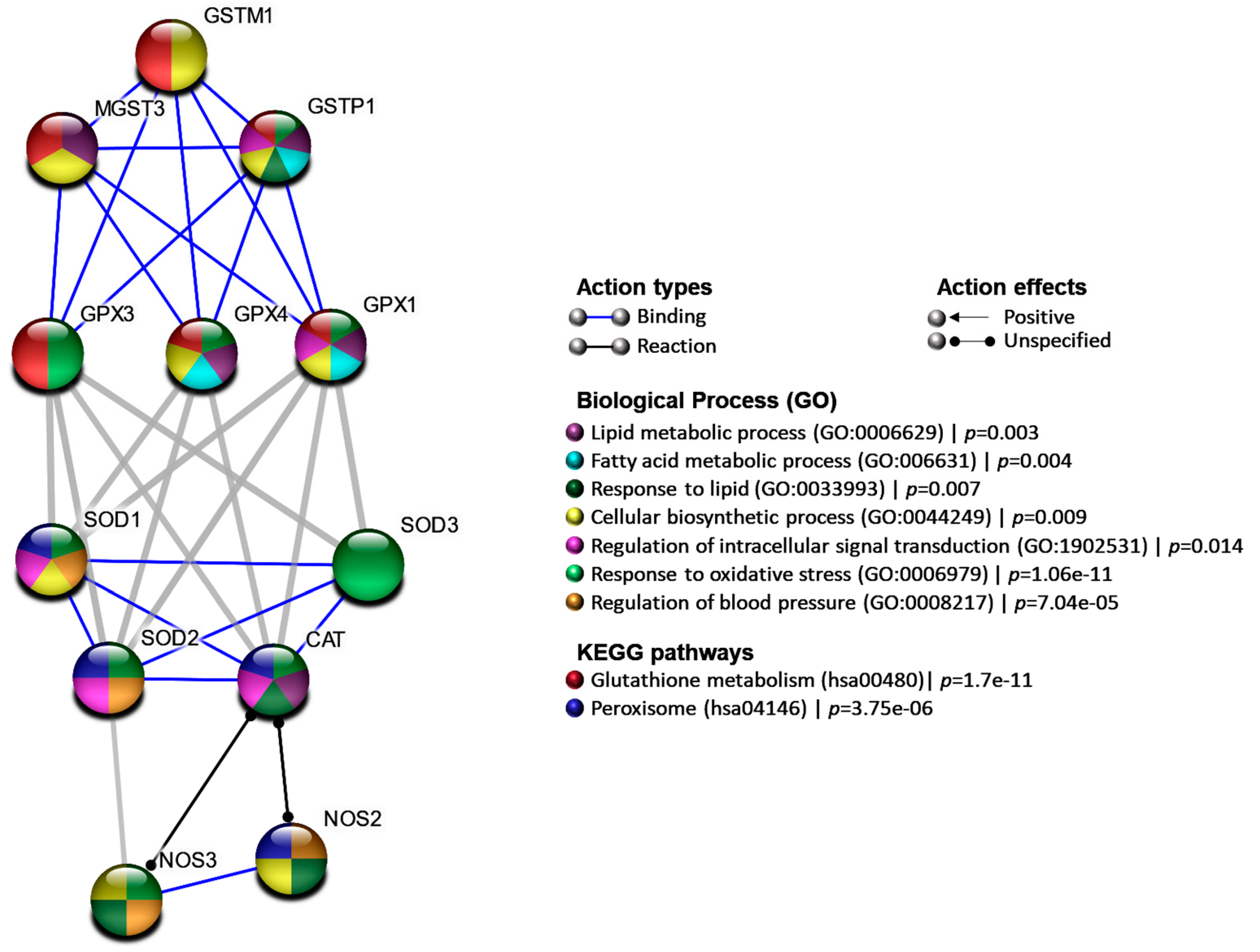 Antioxidants 10 00595 g003