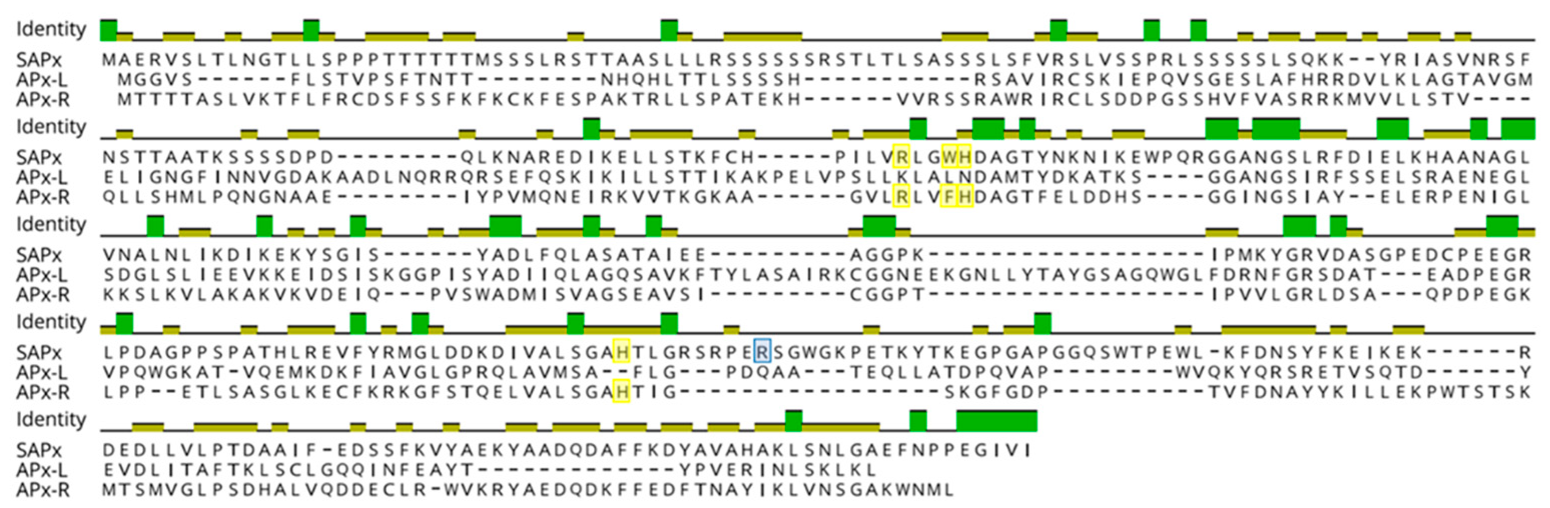 Antioxidants 10 00597 g002 Antioxidants 10 00597 g002