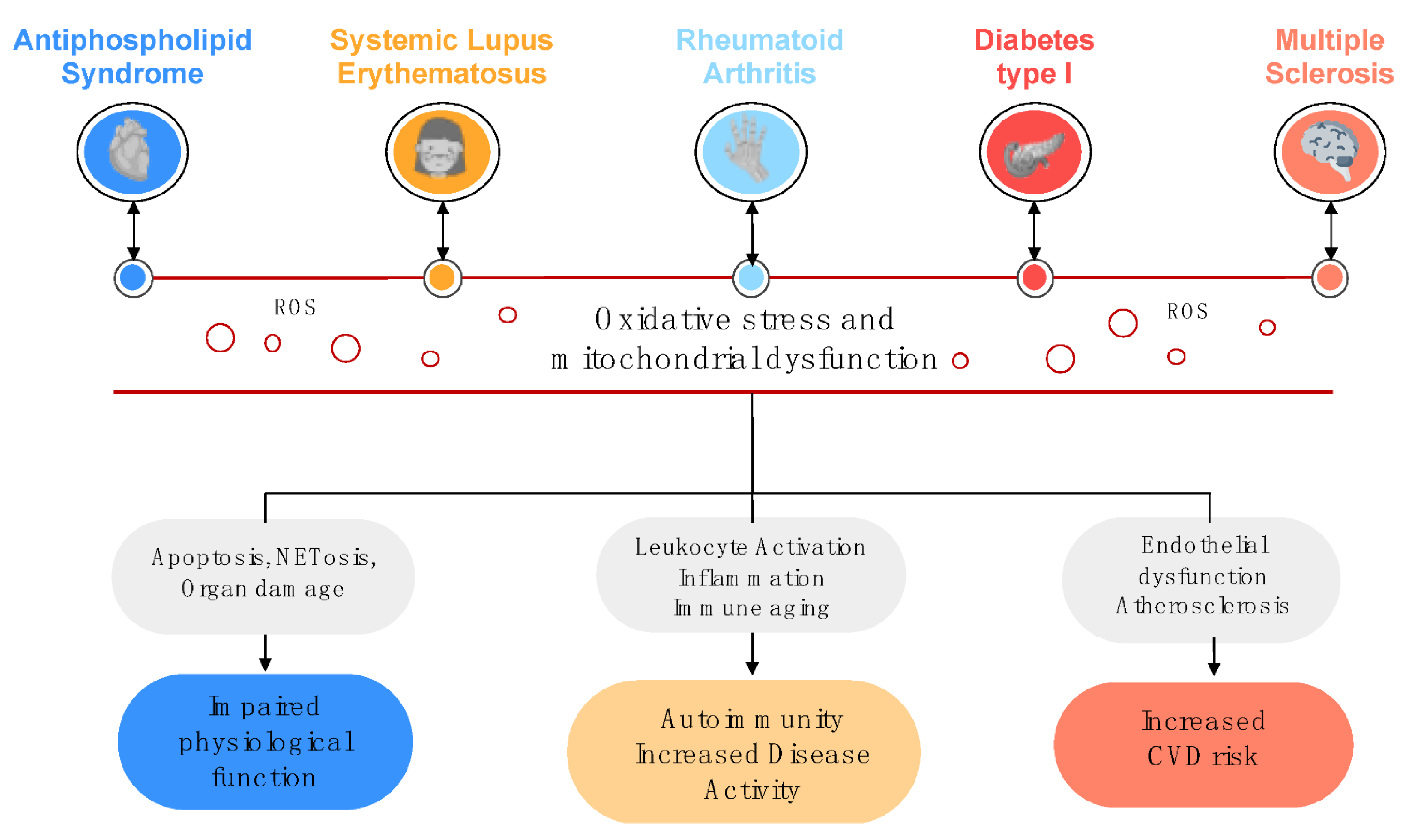 Antioxidants 10 00600 g001 Antioxidants 10 00600 g001