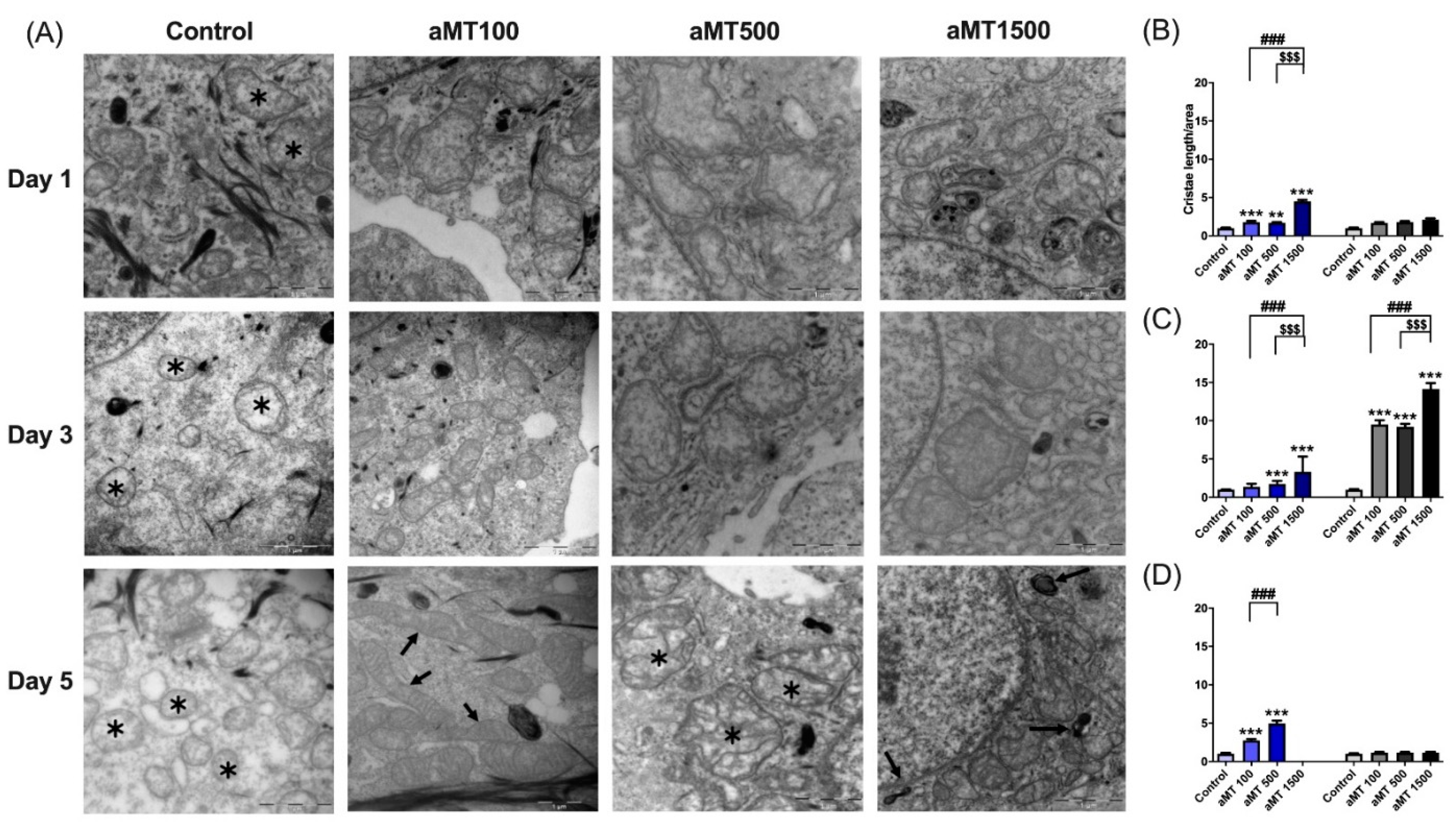 Antioxidants 10 00603 g006 Antioxidants 10 00603 g006