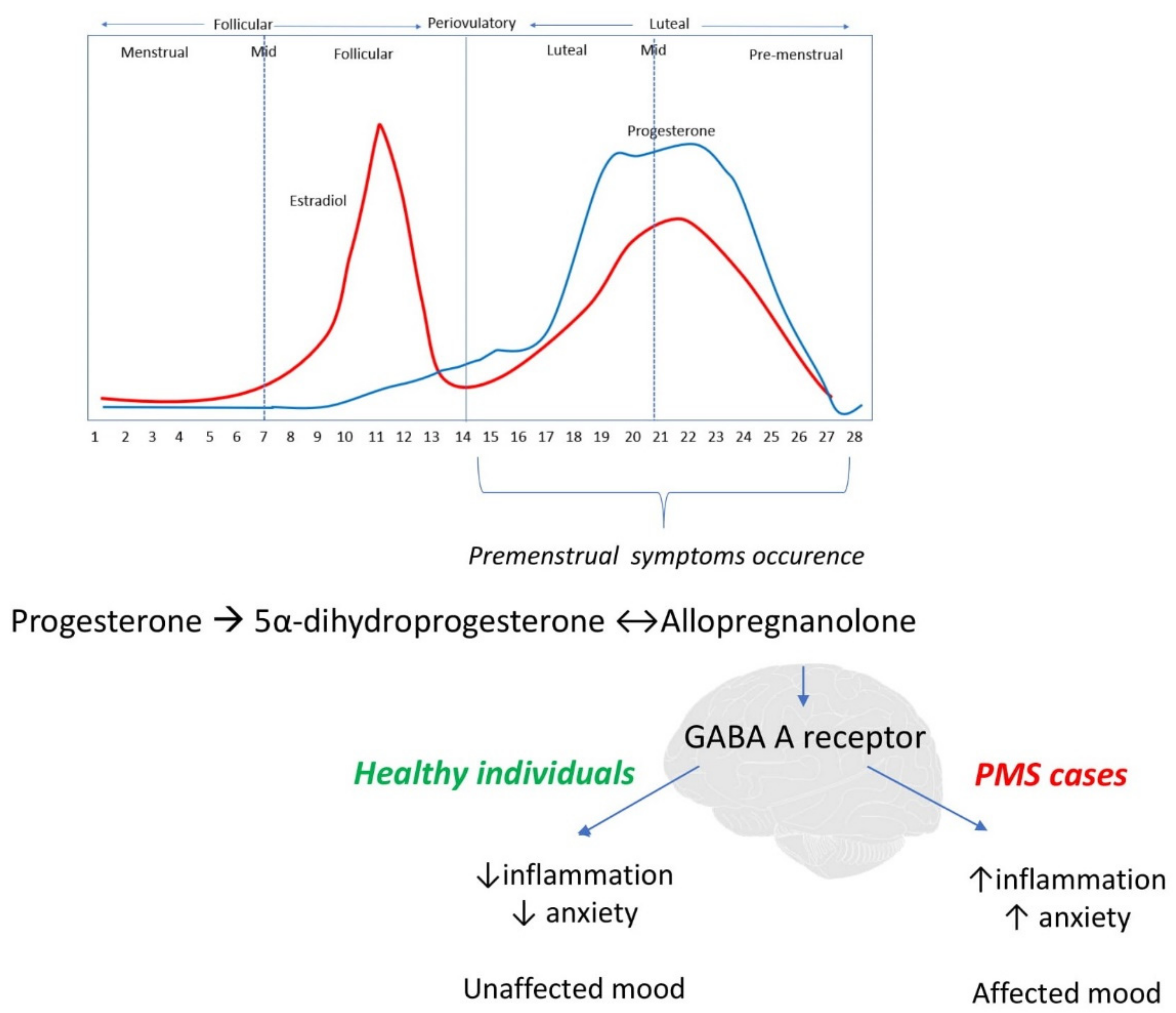 Antioxidants 10 00604 g002